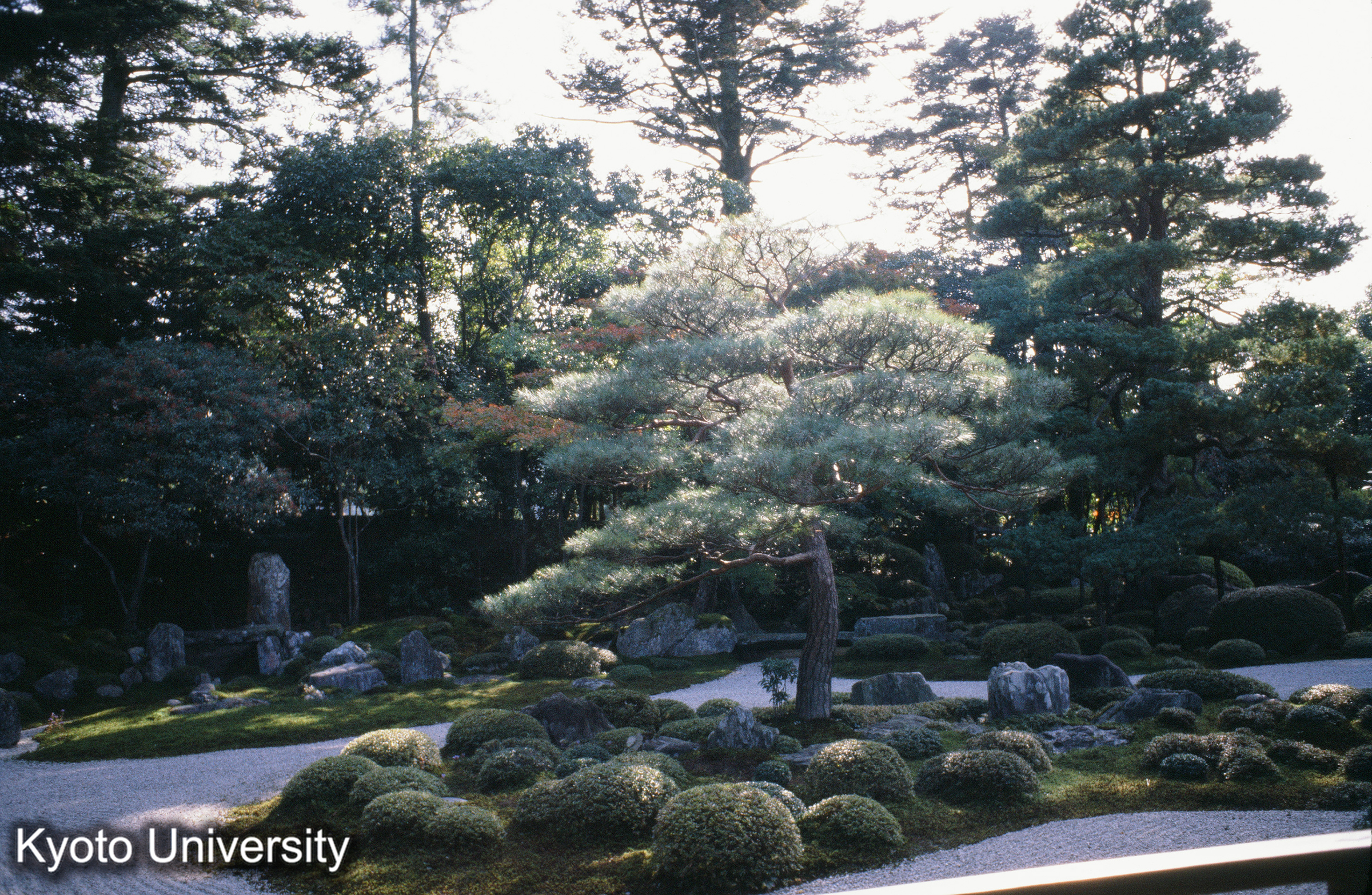 ［スライド］ (1)