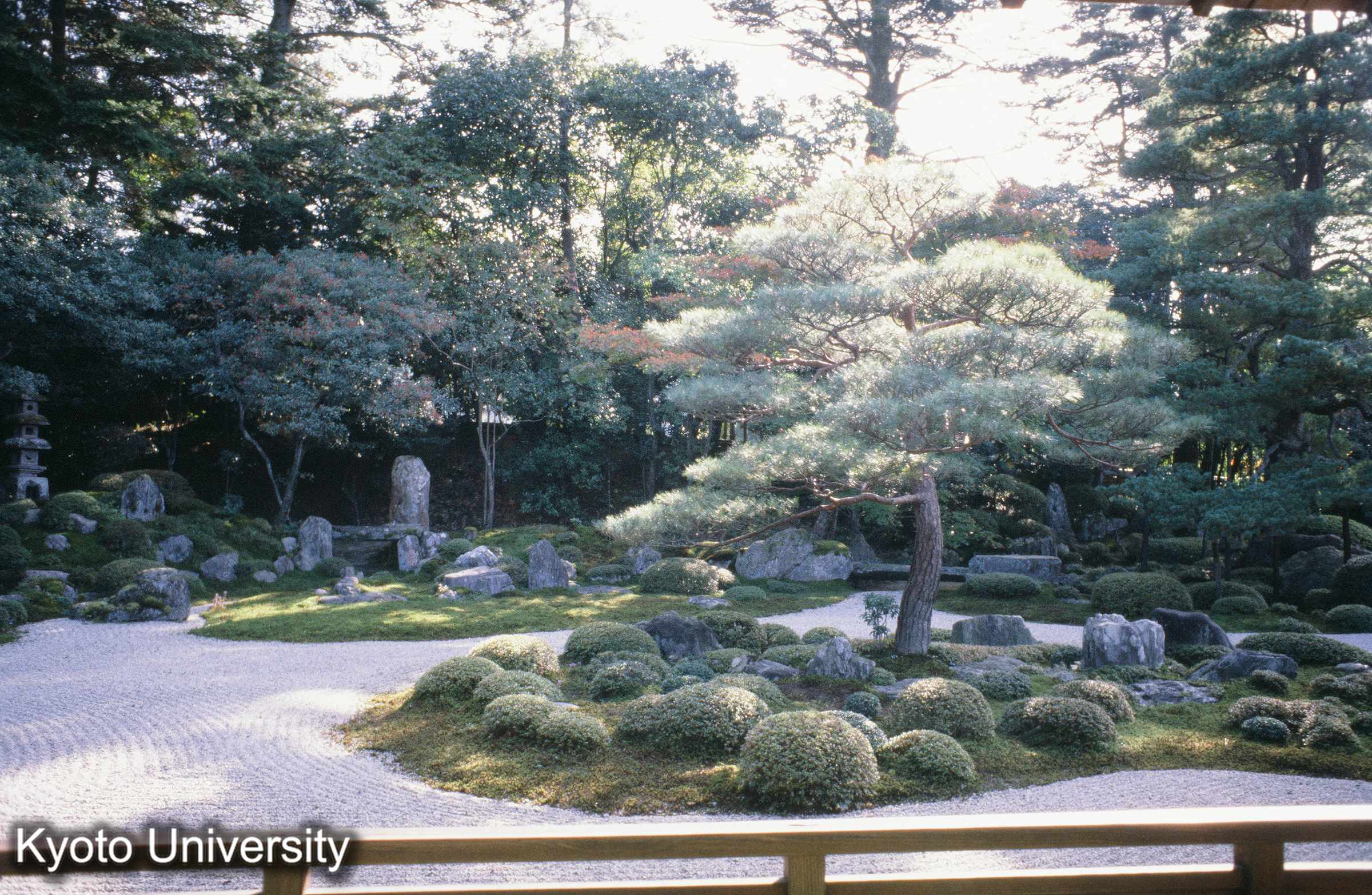 ［スライド］ (1)