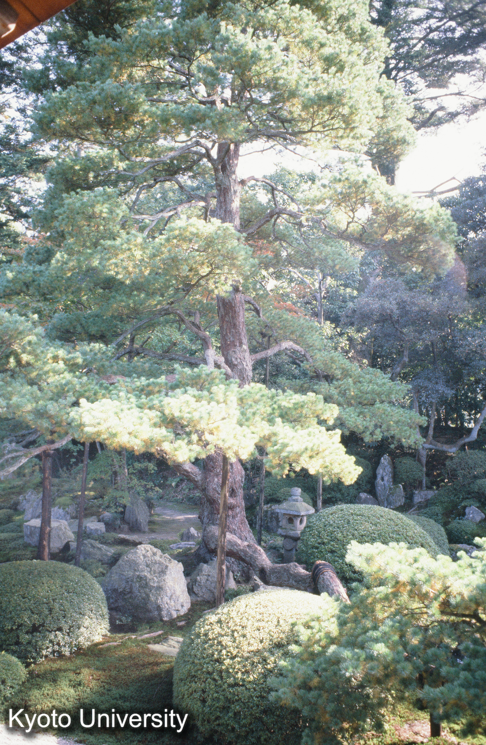 ［スライド］ (1)