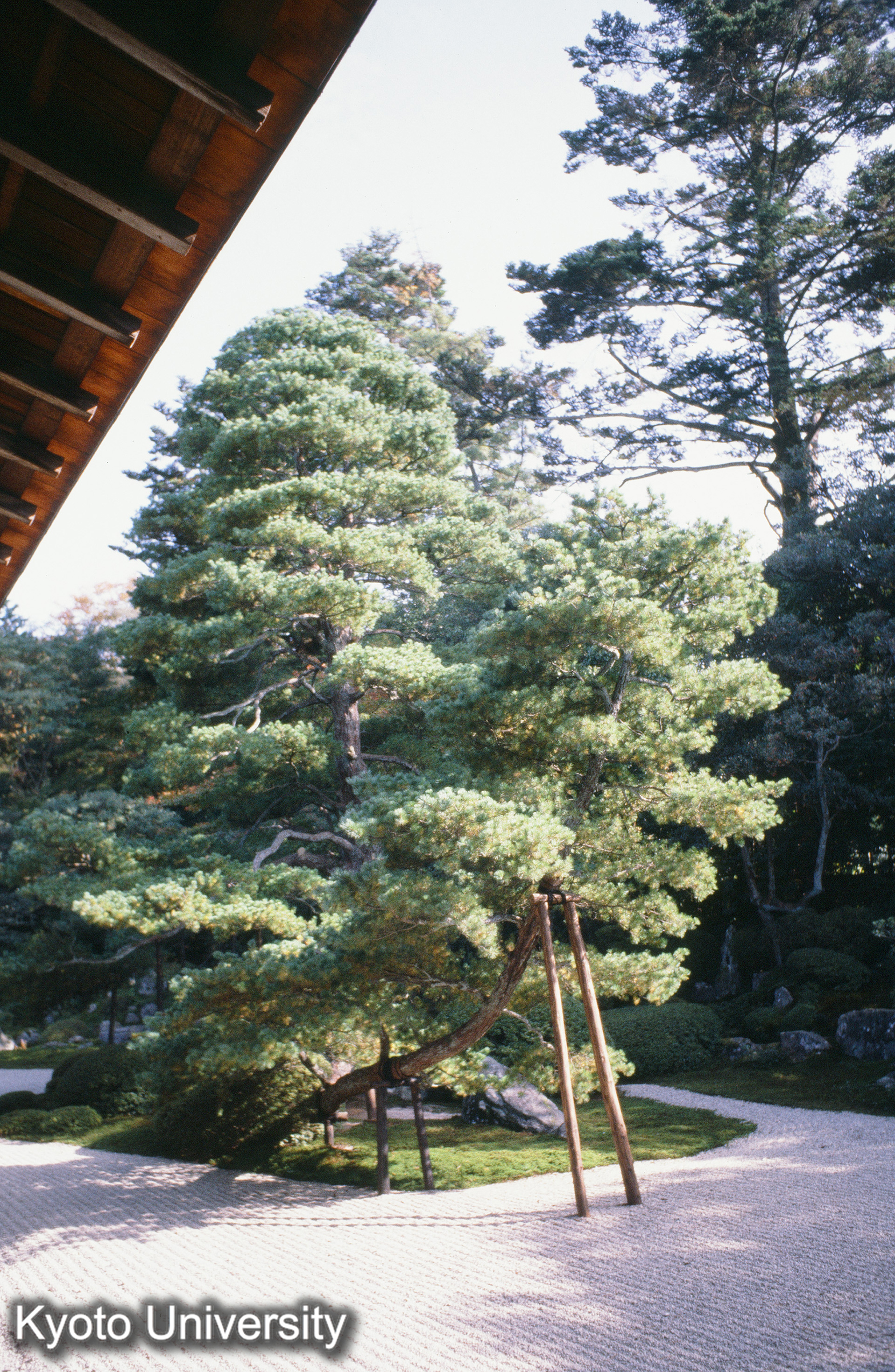 ［スライド］ (1)