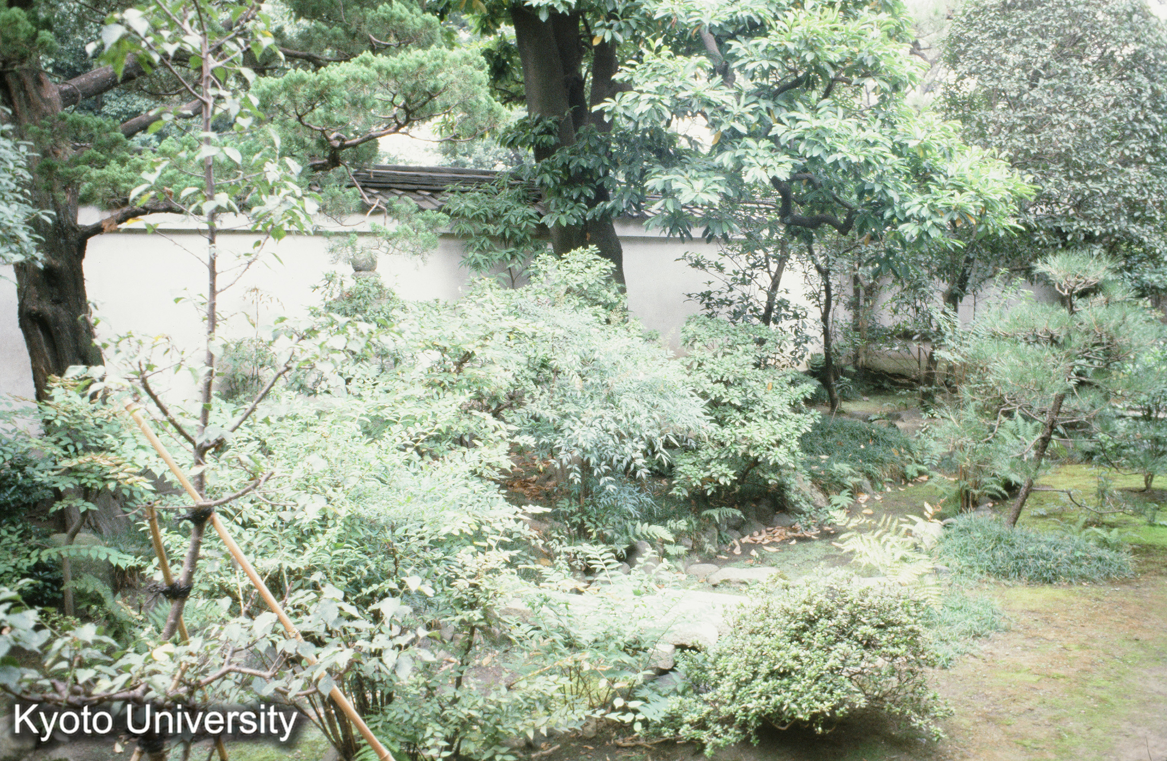 ［スライド］ (1)