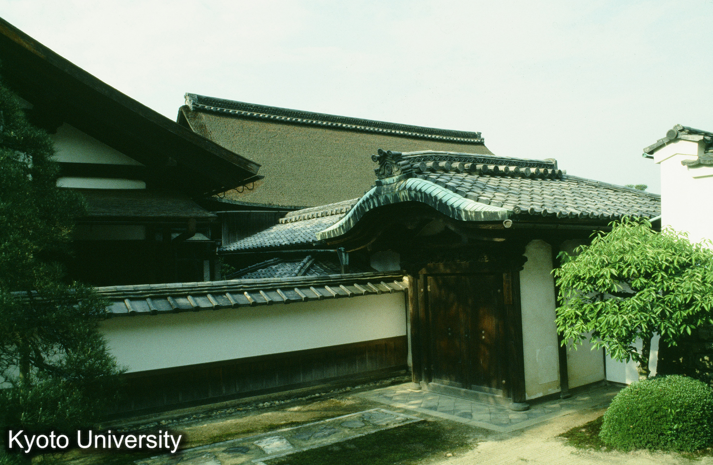 ［スライド］ (1)