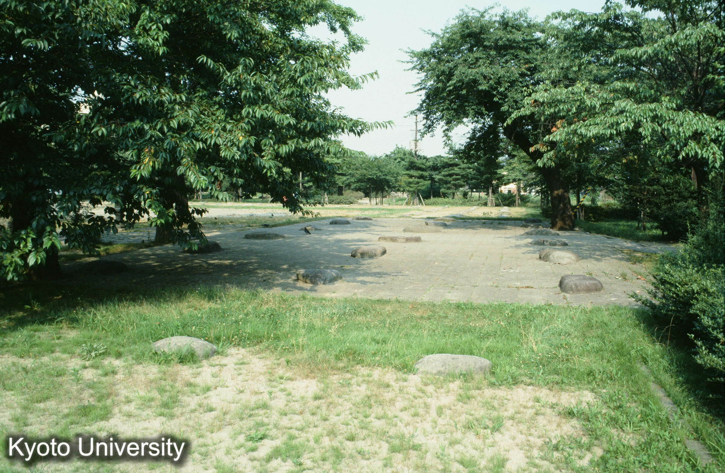 ［スライド］ (1)