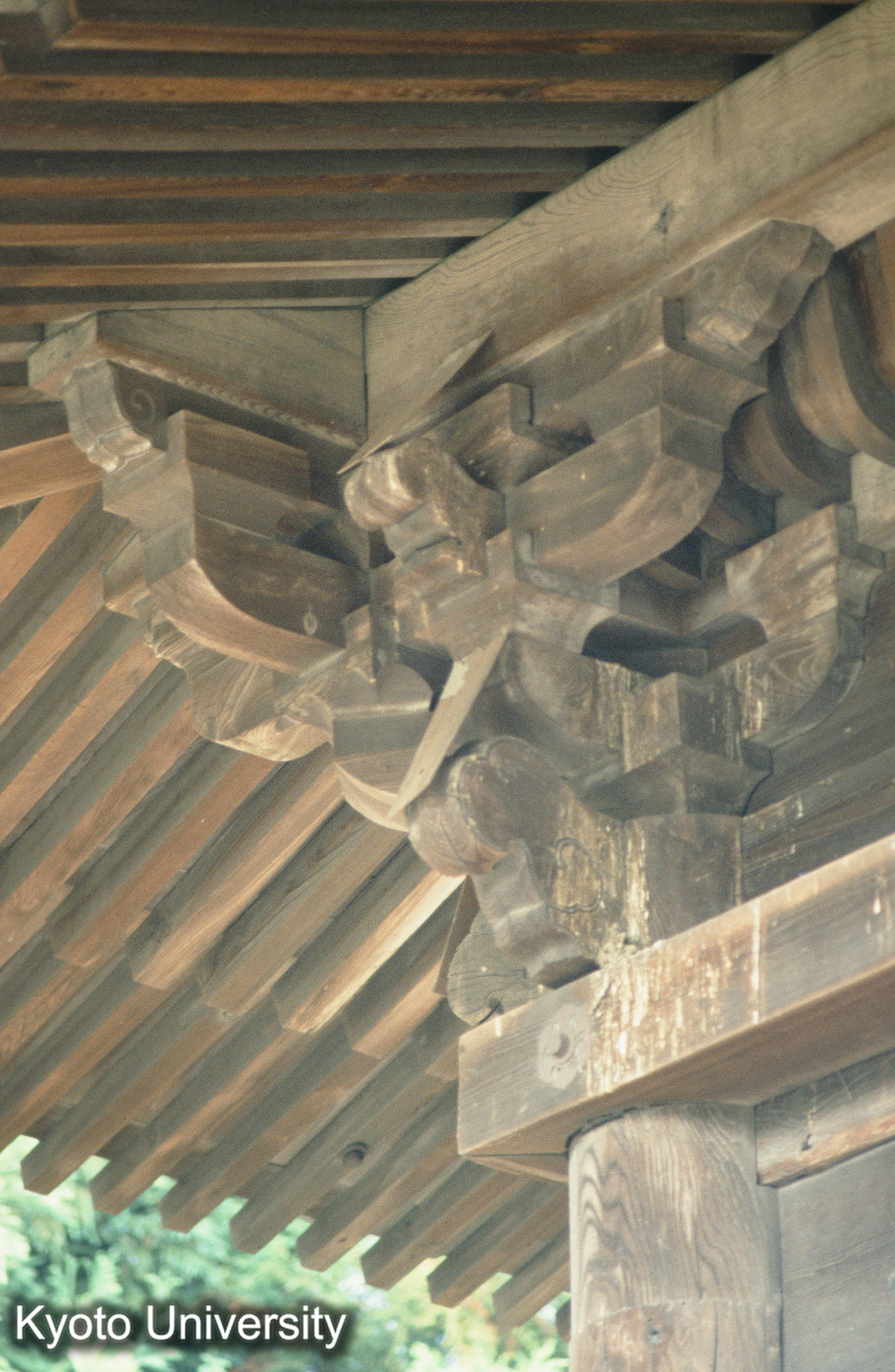 ［スライド］ (1)