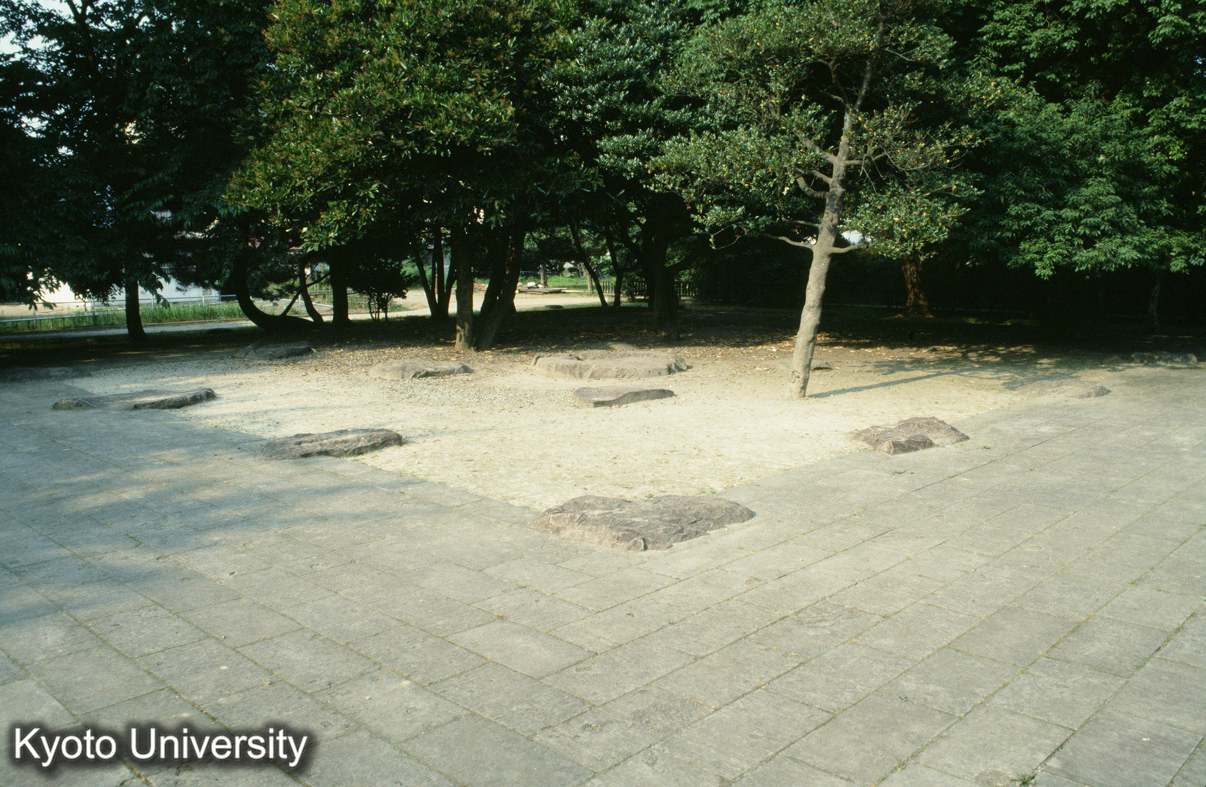 ［スライド］ (1)