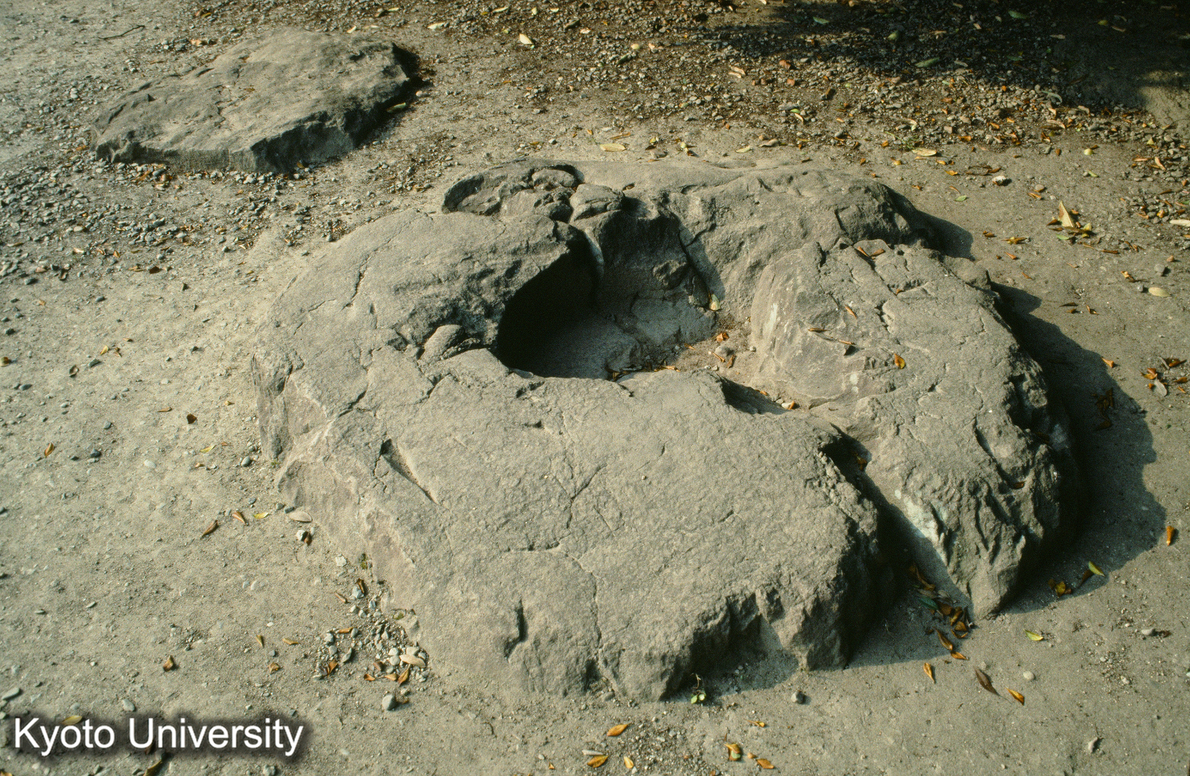 ［スライド］ (1)