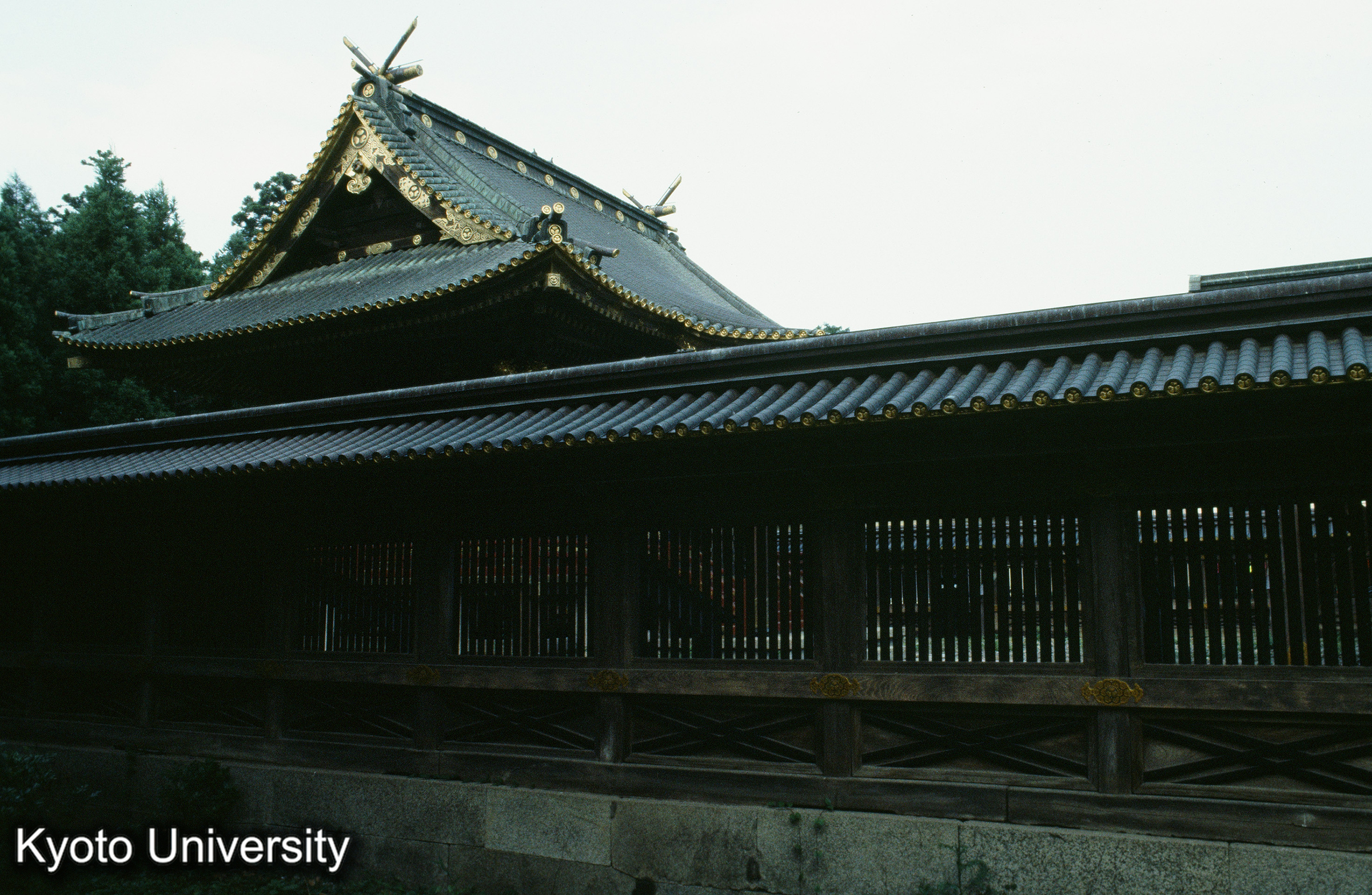 ［スライド］ (1)