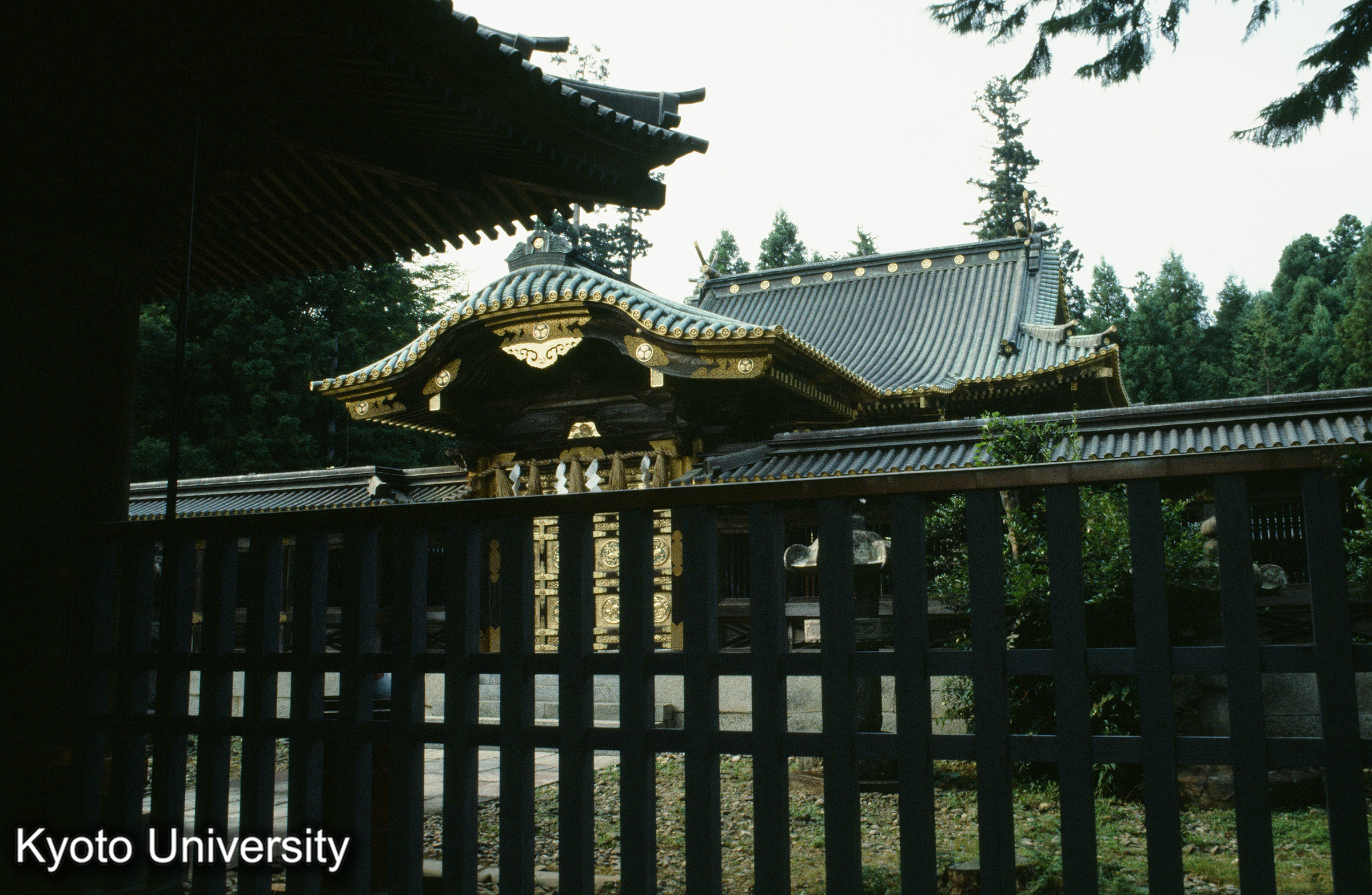 ［スライド］ (1)