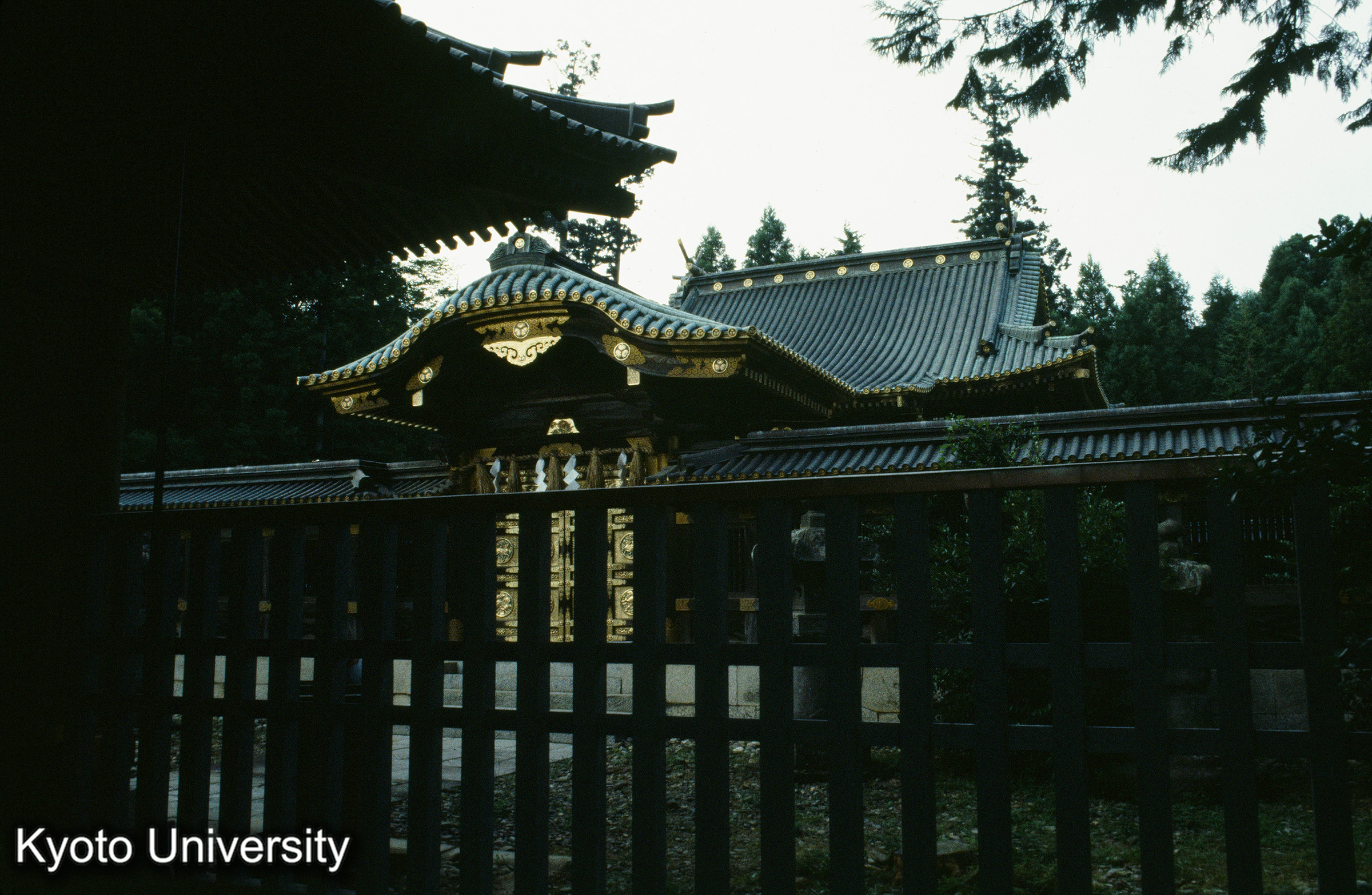 ［スライド］ (1)