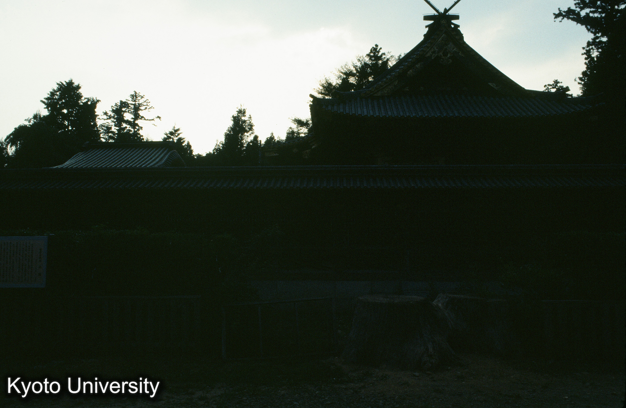 ［スライド］ (1)