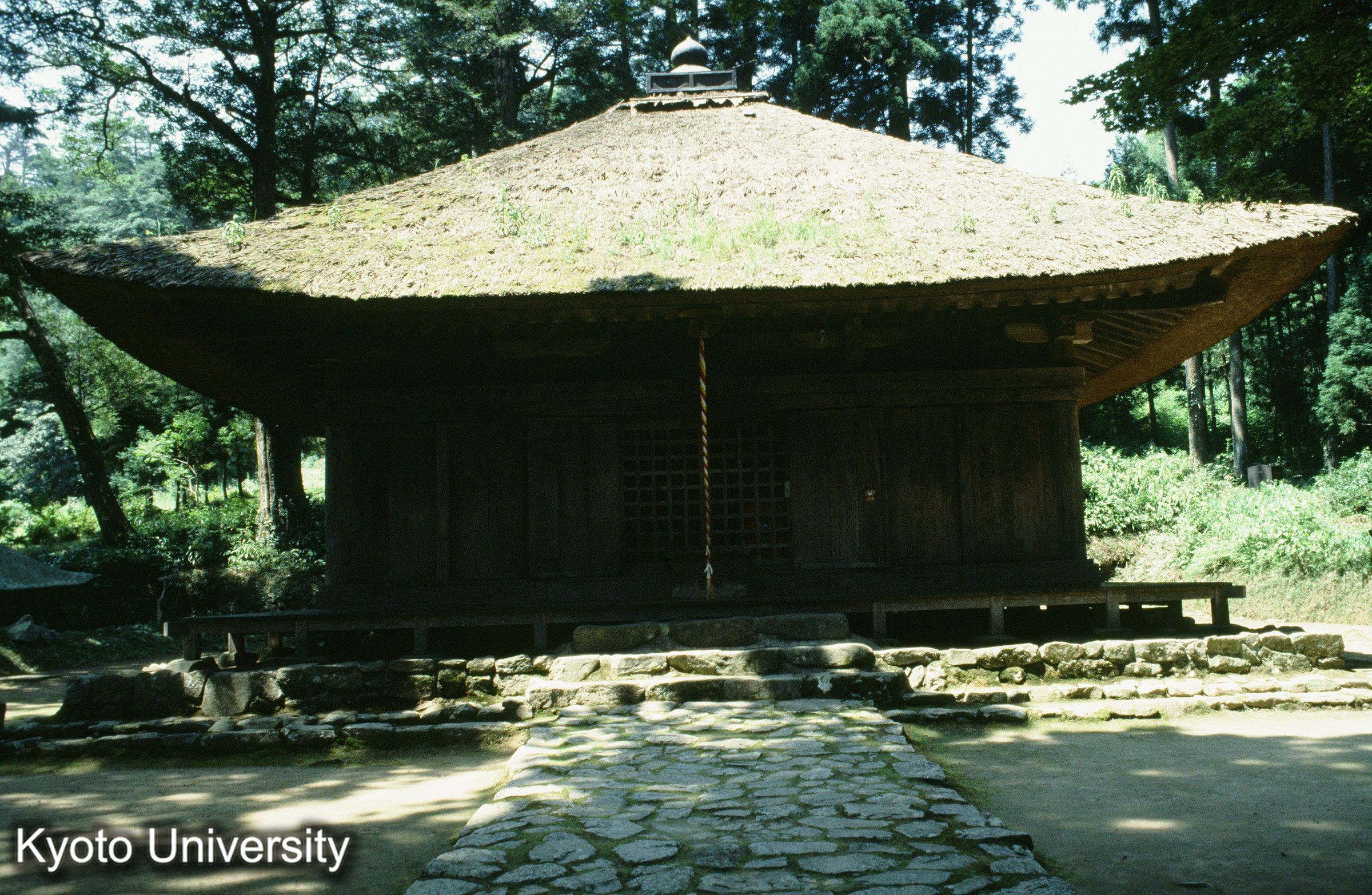 ［スライド］ (1)