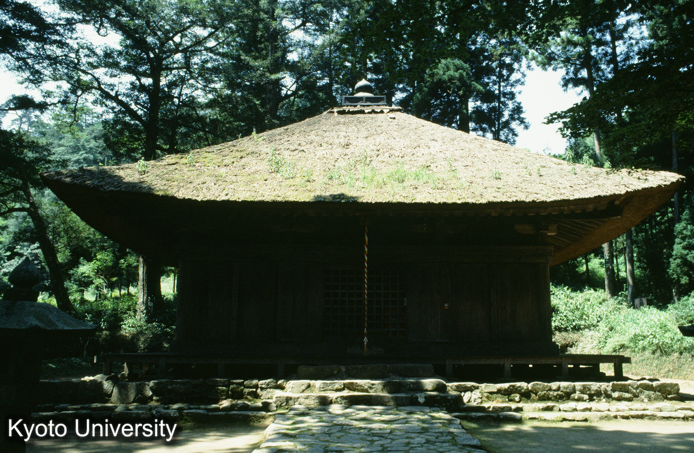 ［スライド］ (1)