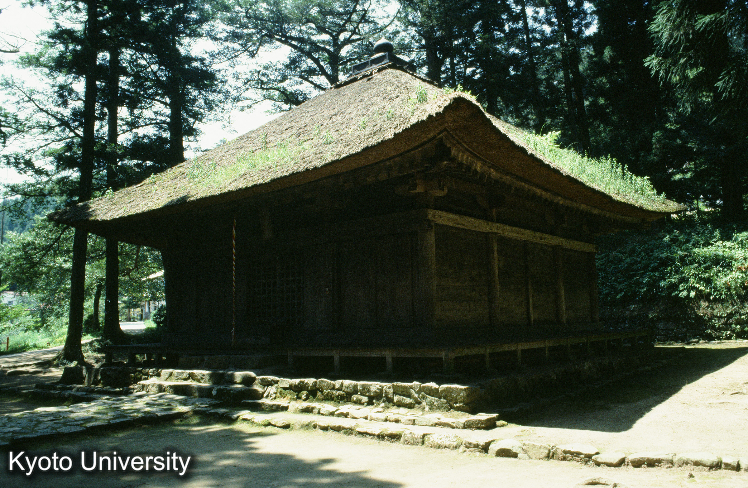 ［スライド］ (1)