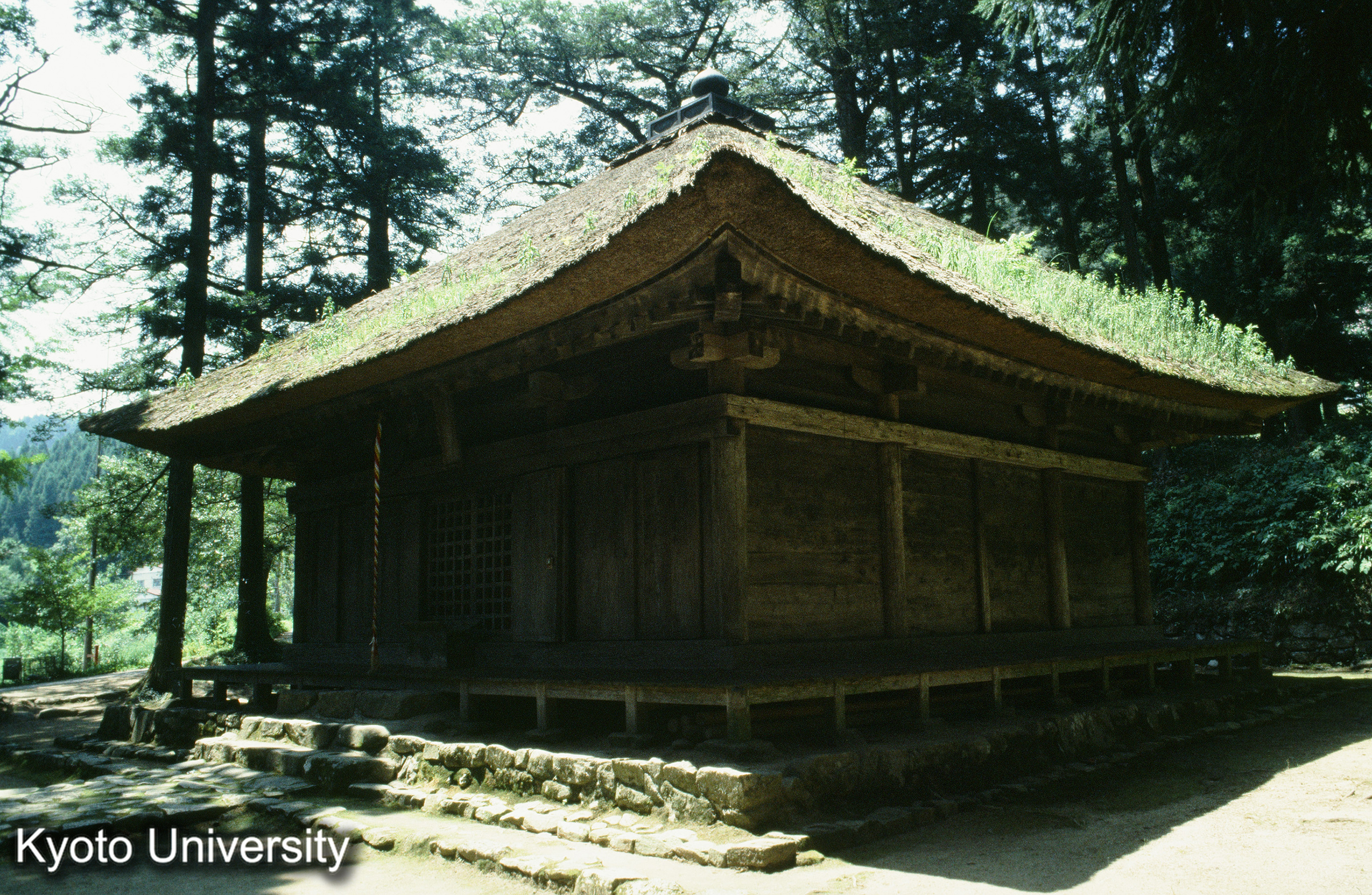 ［スライド］ (1)