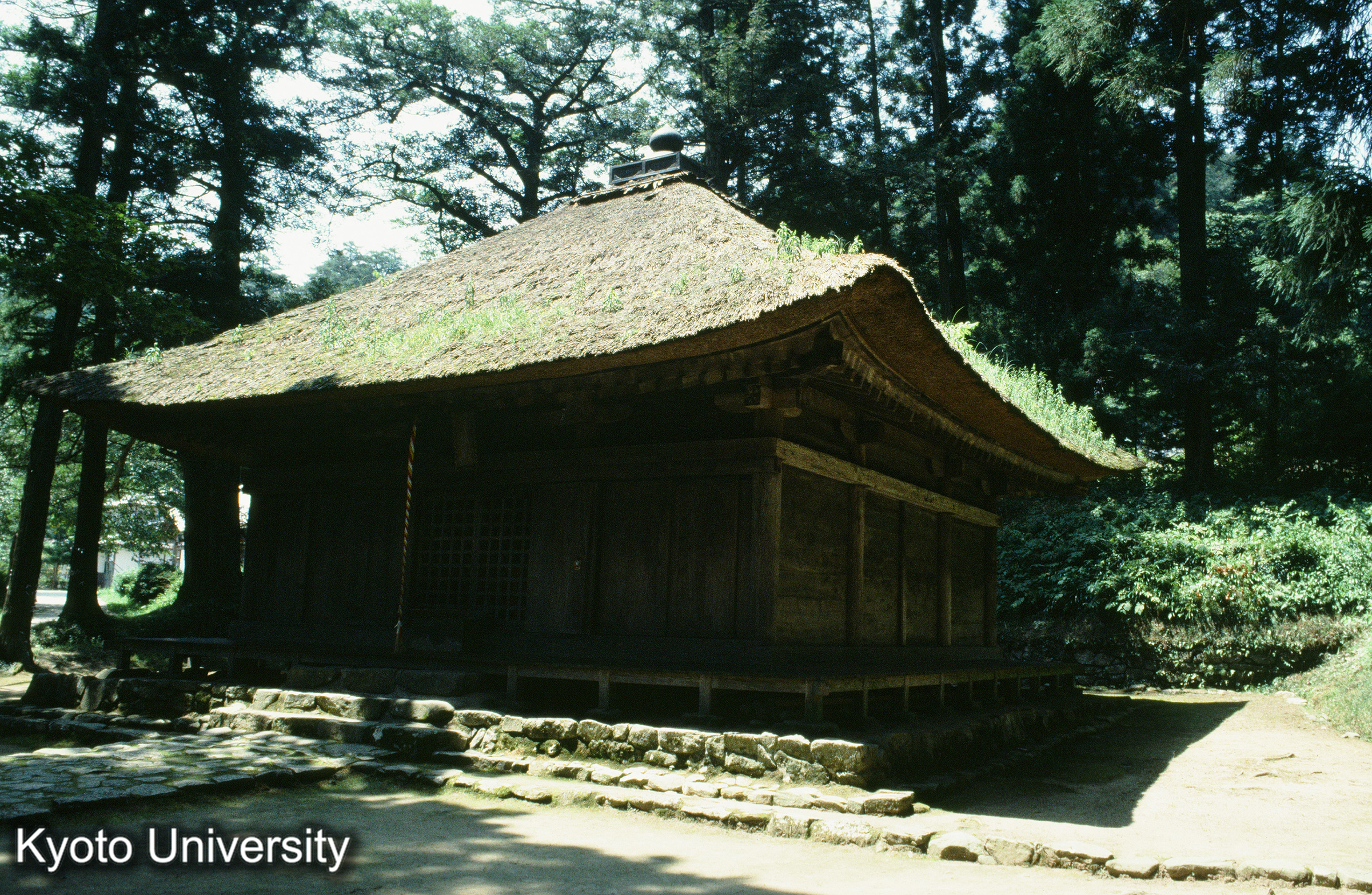 ［スライド］ (1)