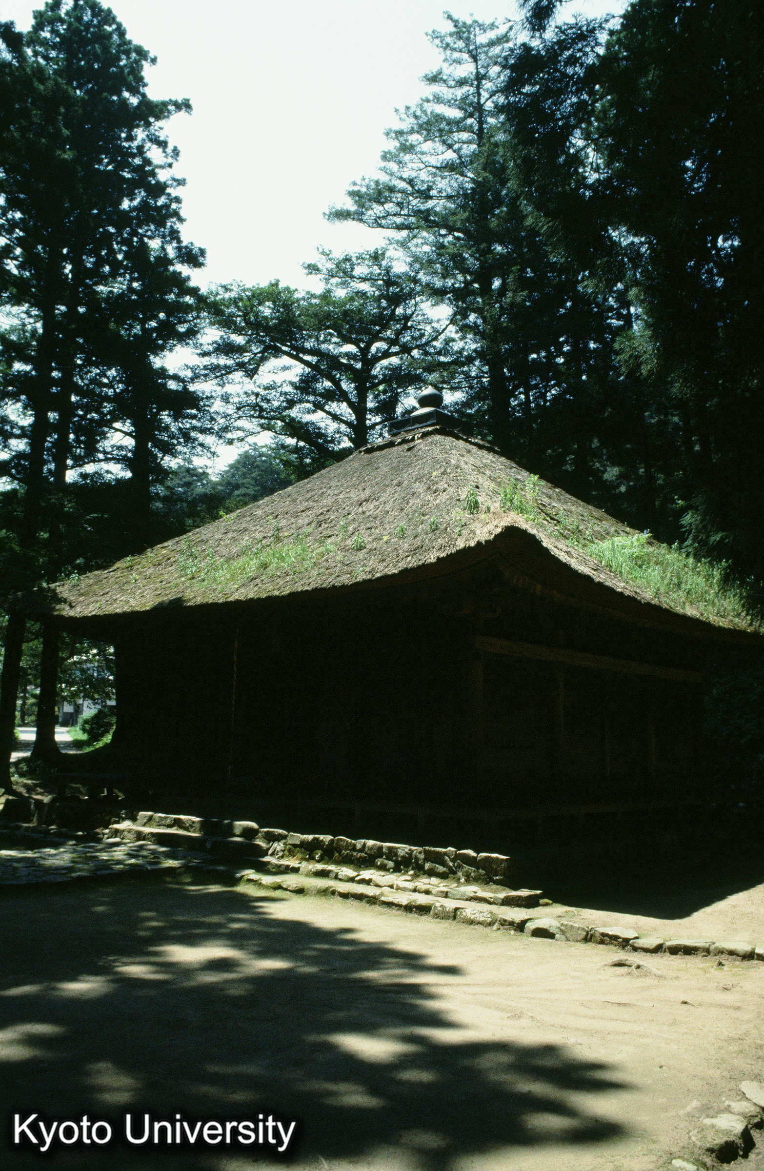 ［スライド］ (1)