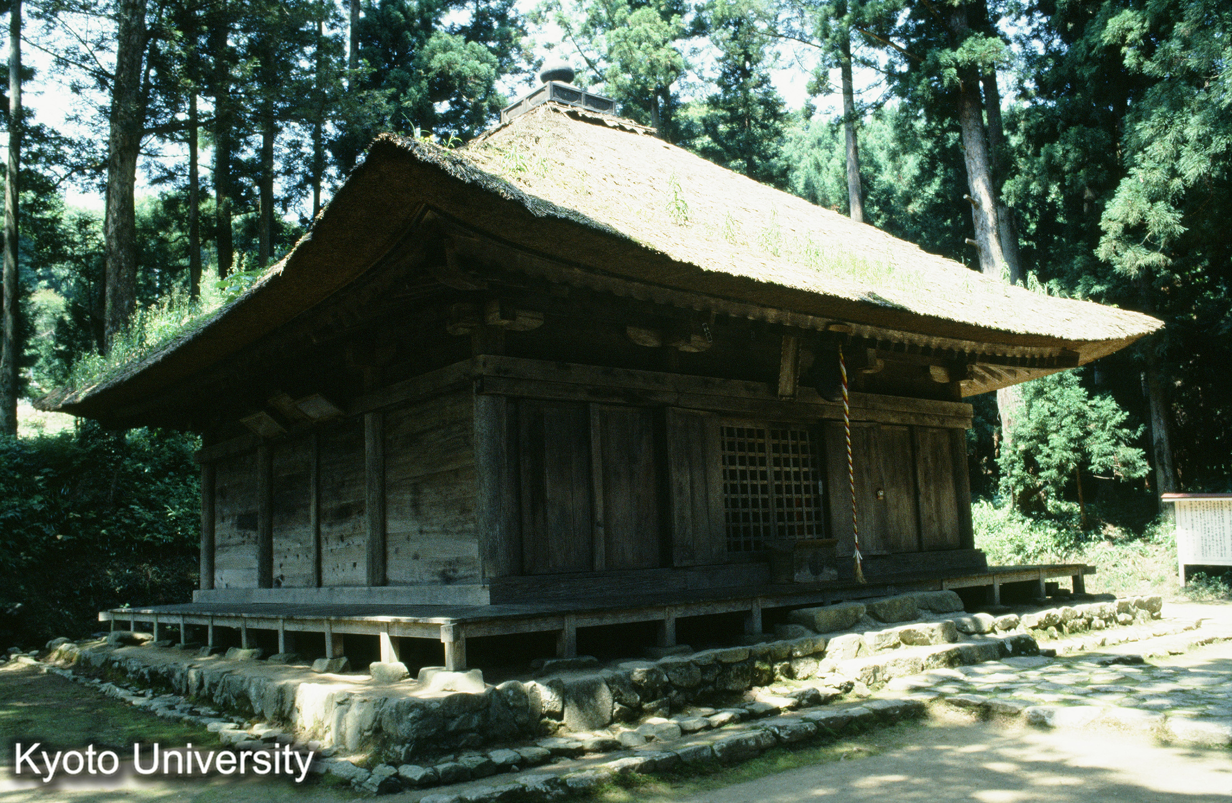 ［スライド］ (1)