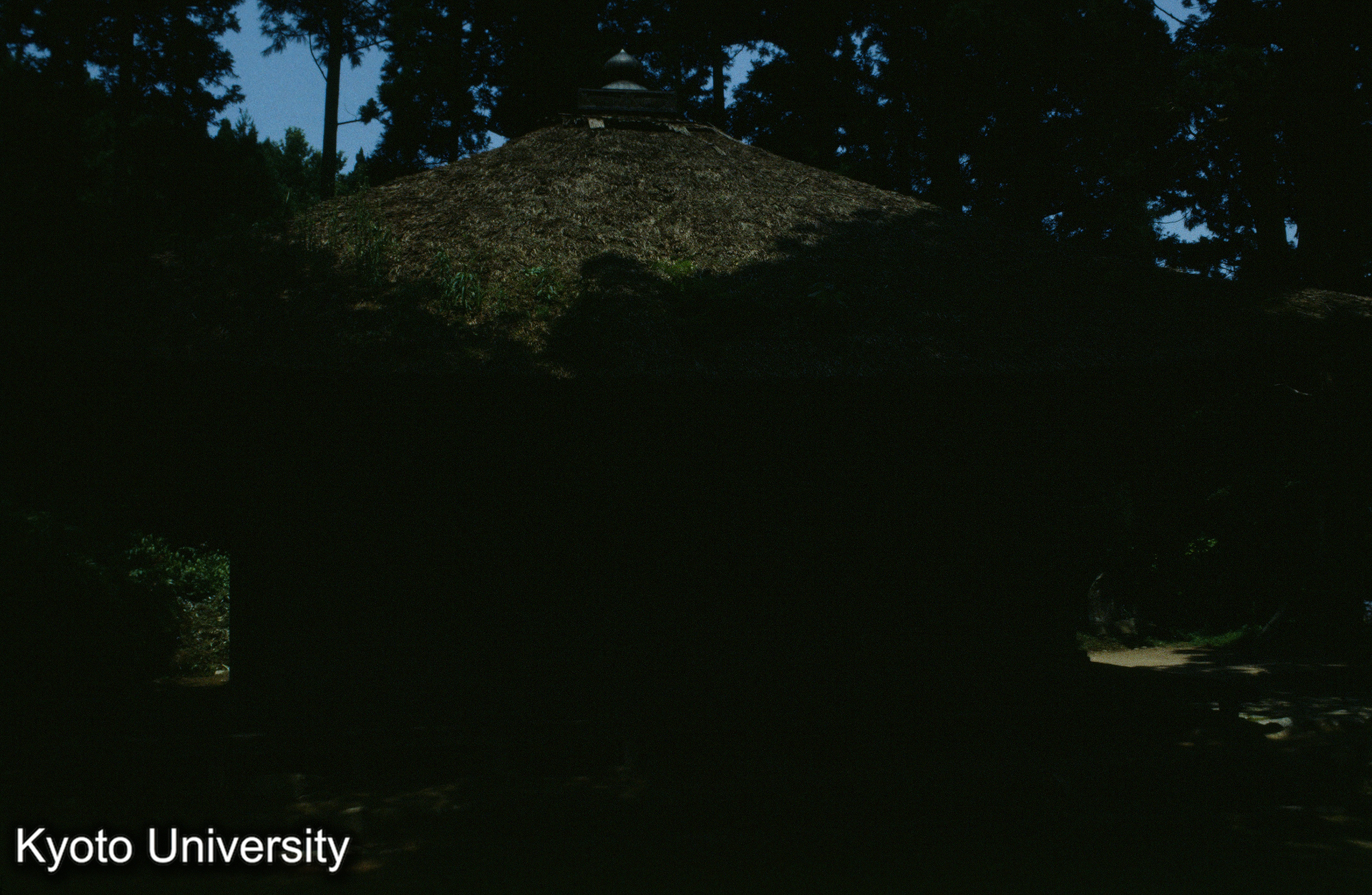 ［スライド］ (1)