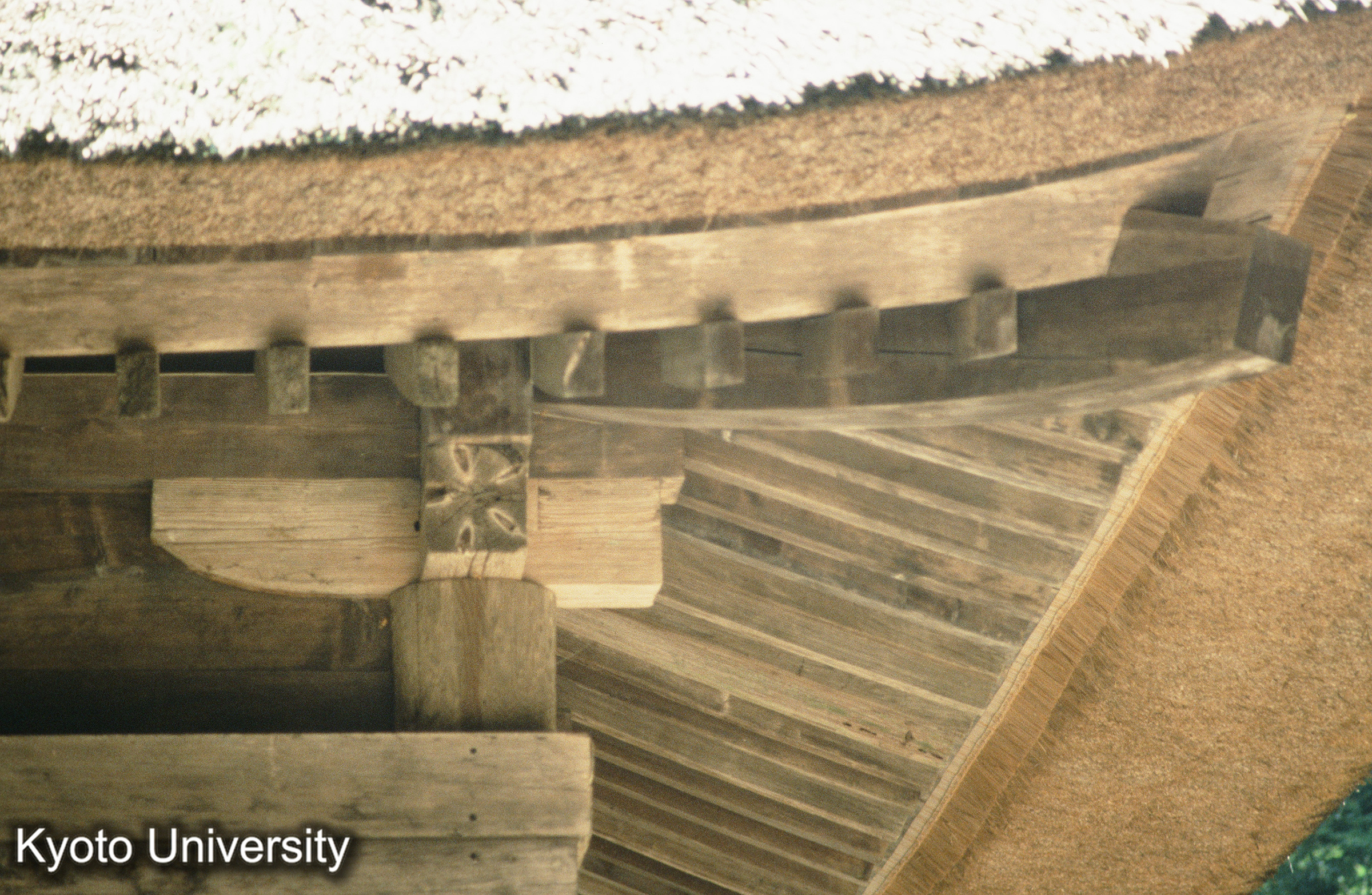 ［スライド］ (1)