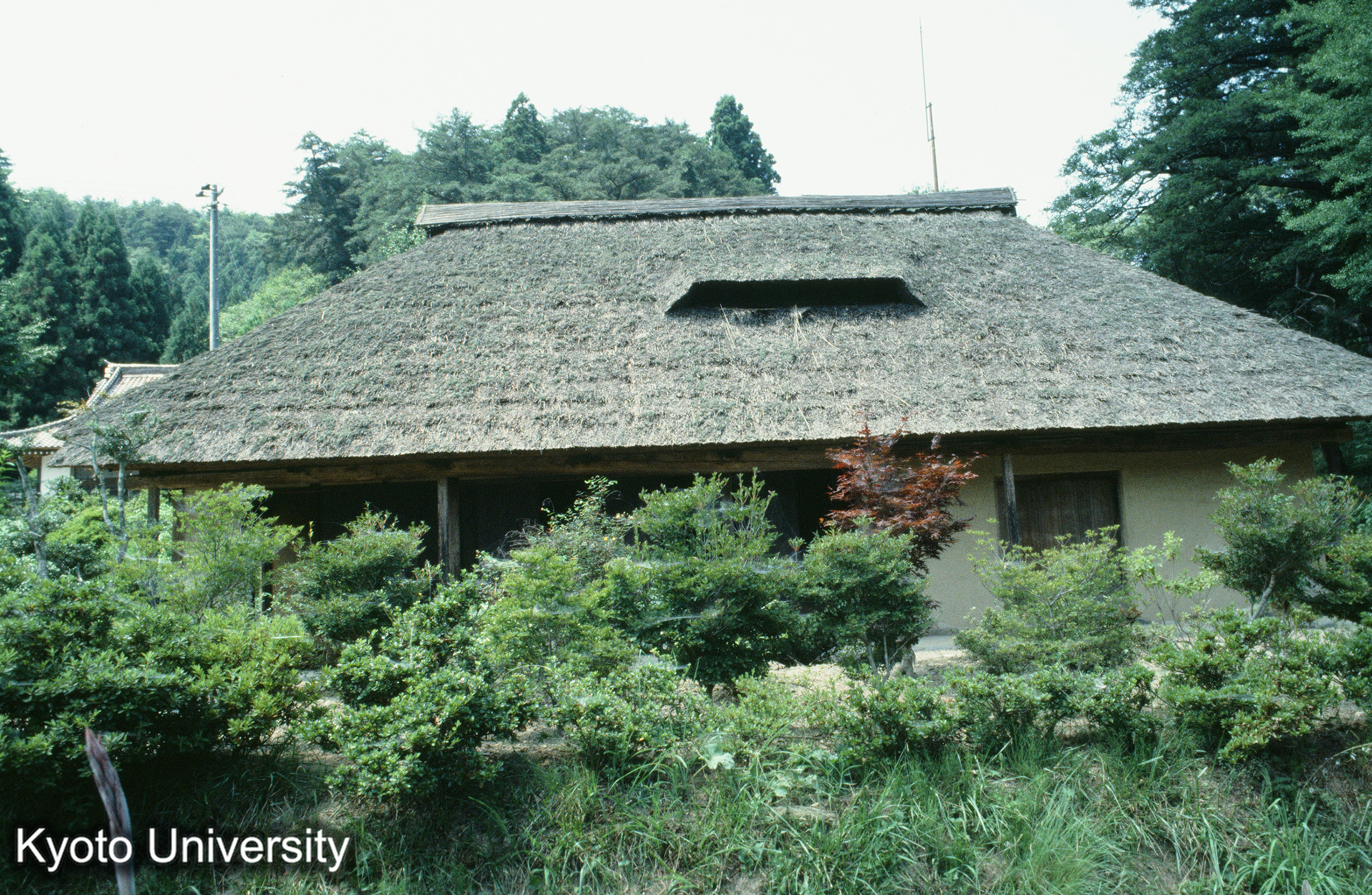 ［スライド］ (1)