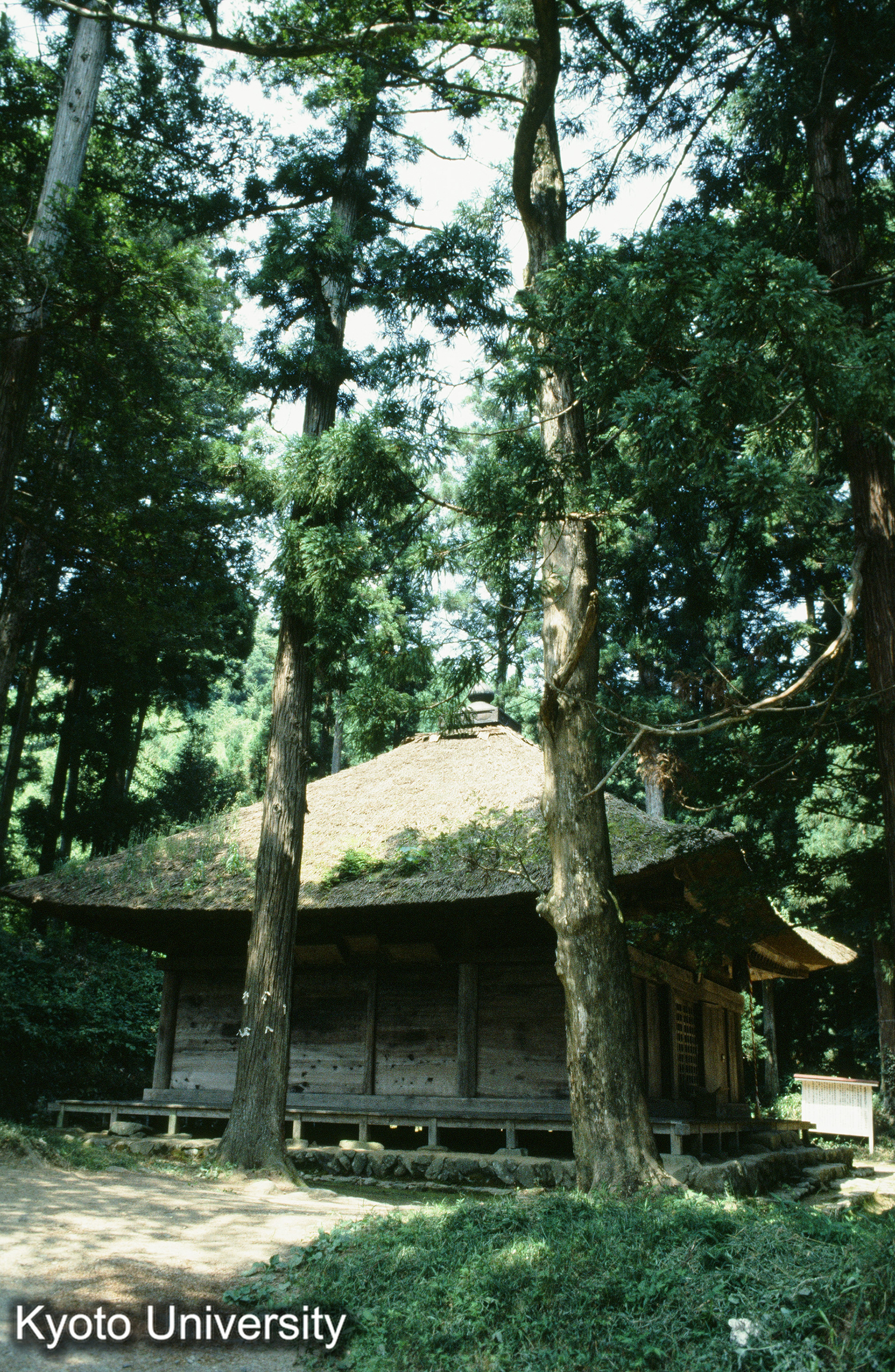 ［スライド］ (1)