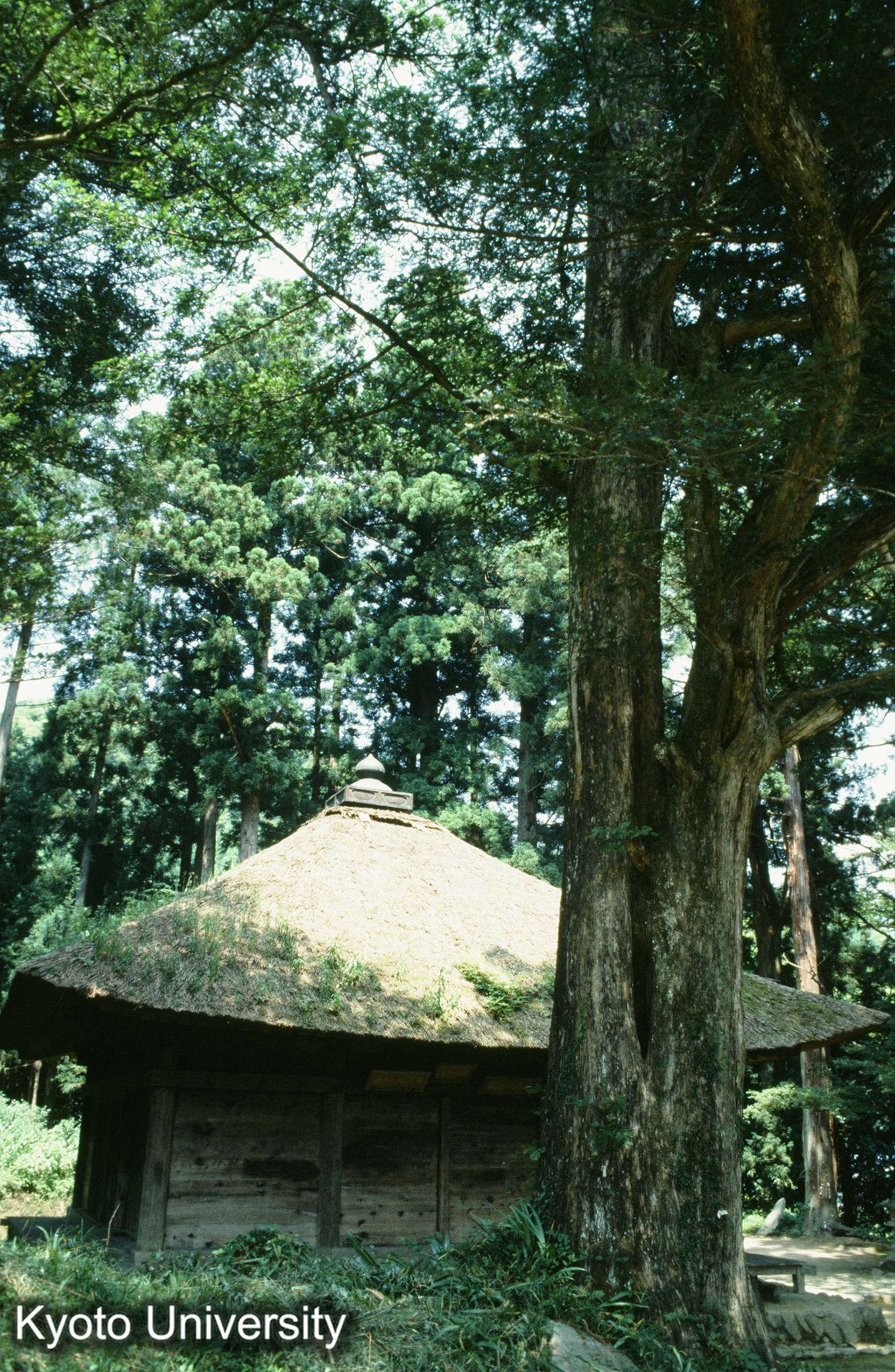 ［スライド］ (1)