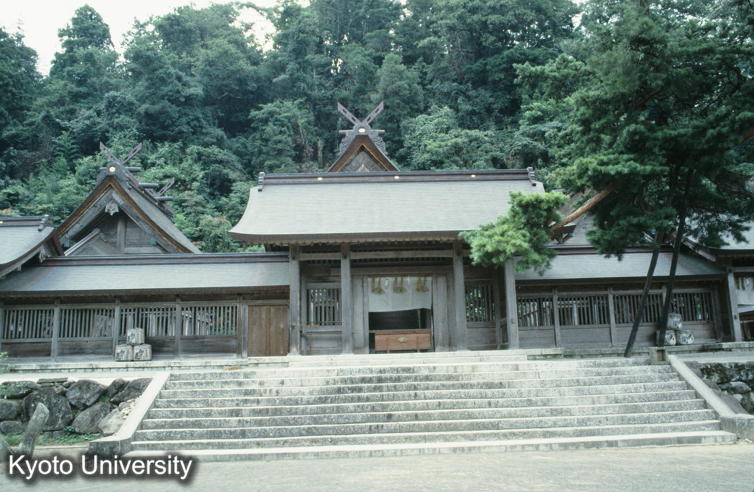 ［スライド］ (1)