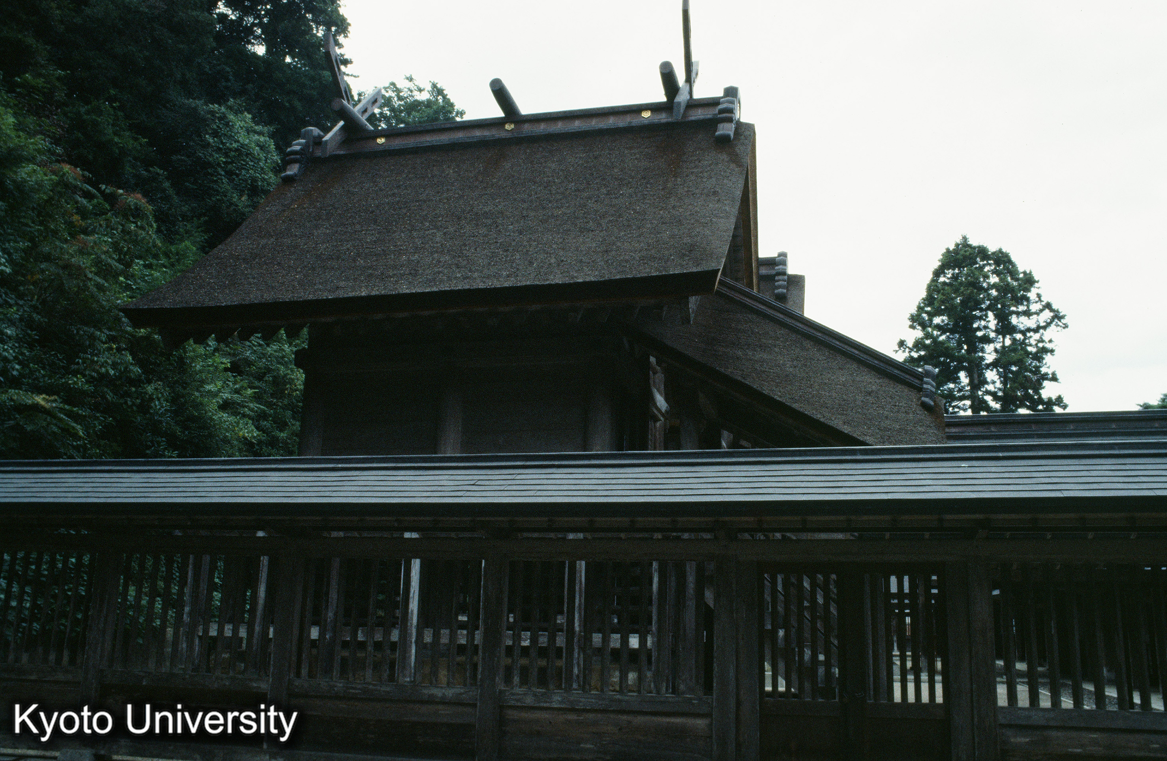 ［スライド］ (1)