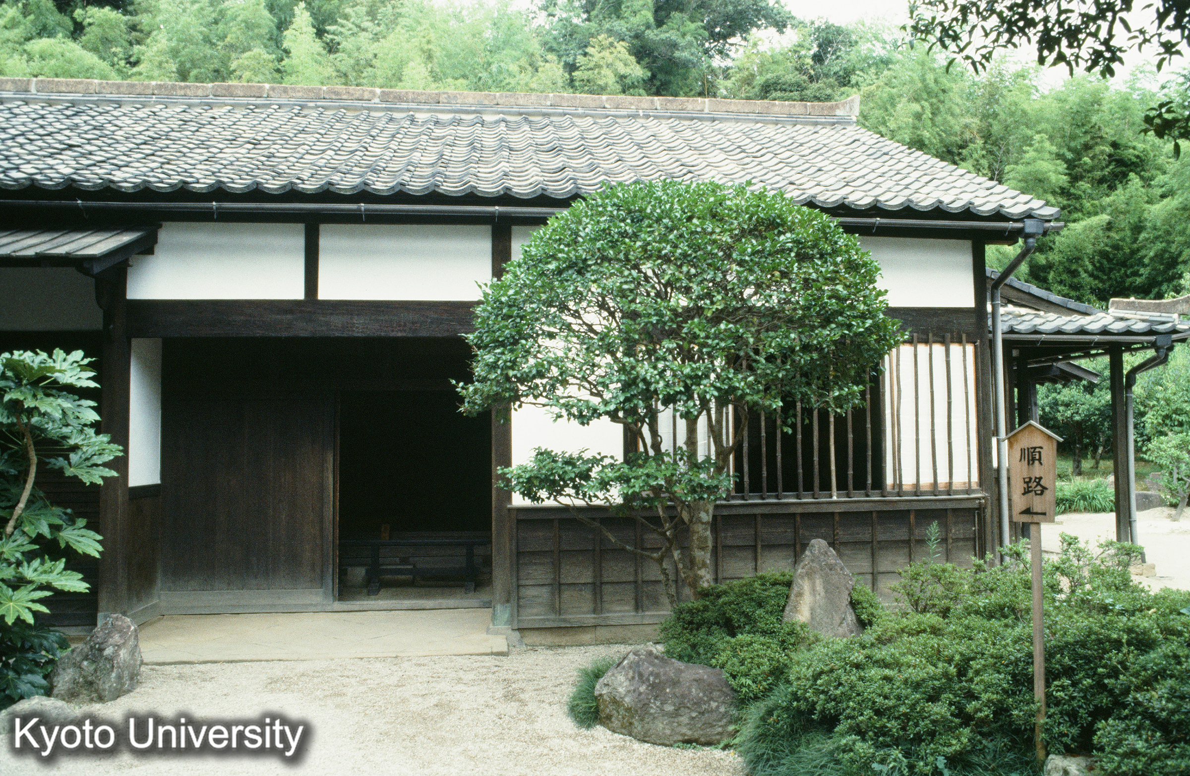 ［スライド］ (1)