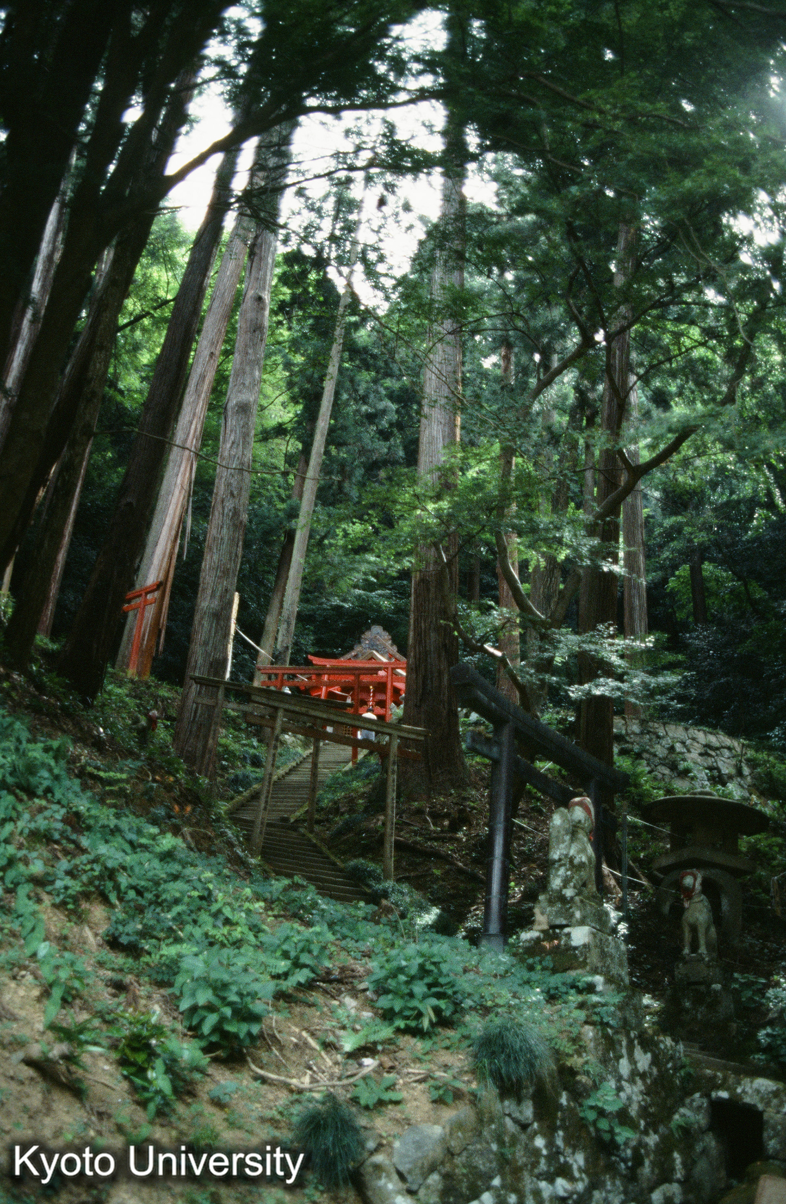 ［スライド］ (1)