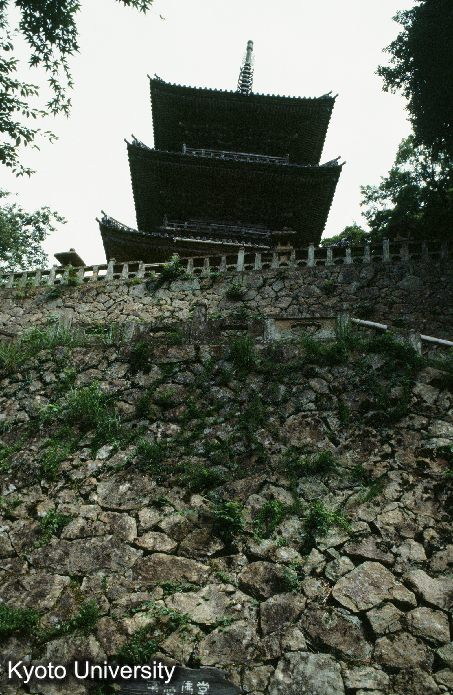 ［スライド］ (1)