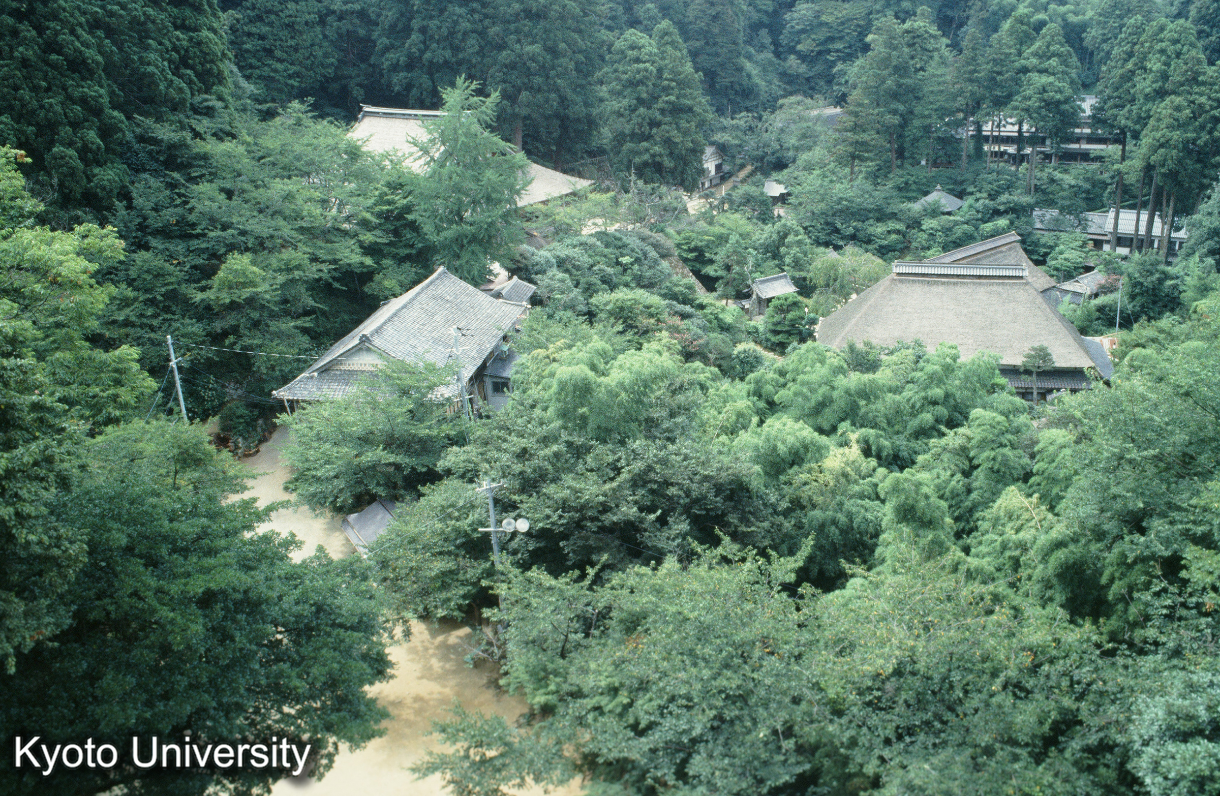 ［スライド］ (1)