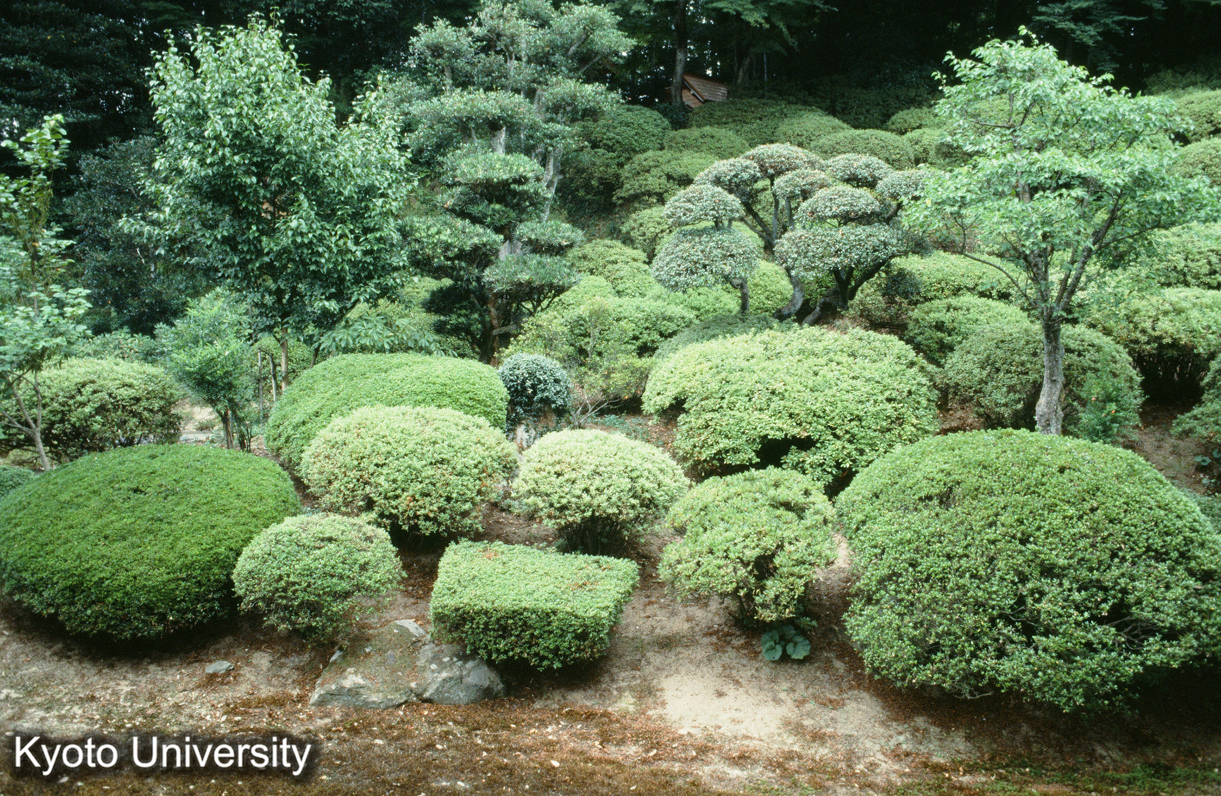 ［スライド］ (1)