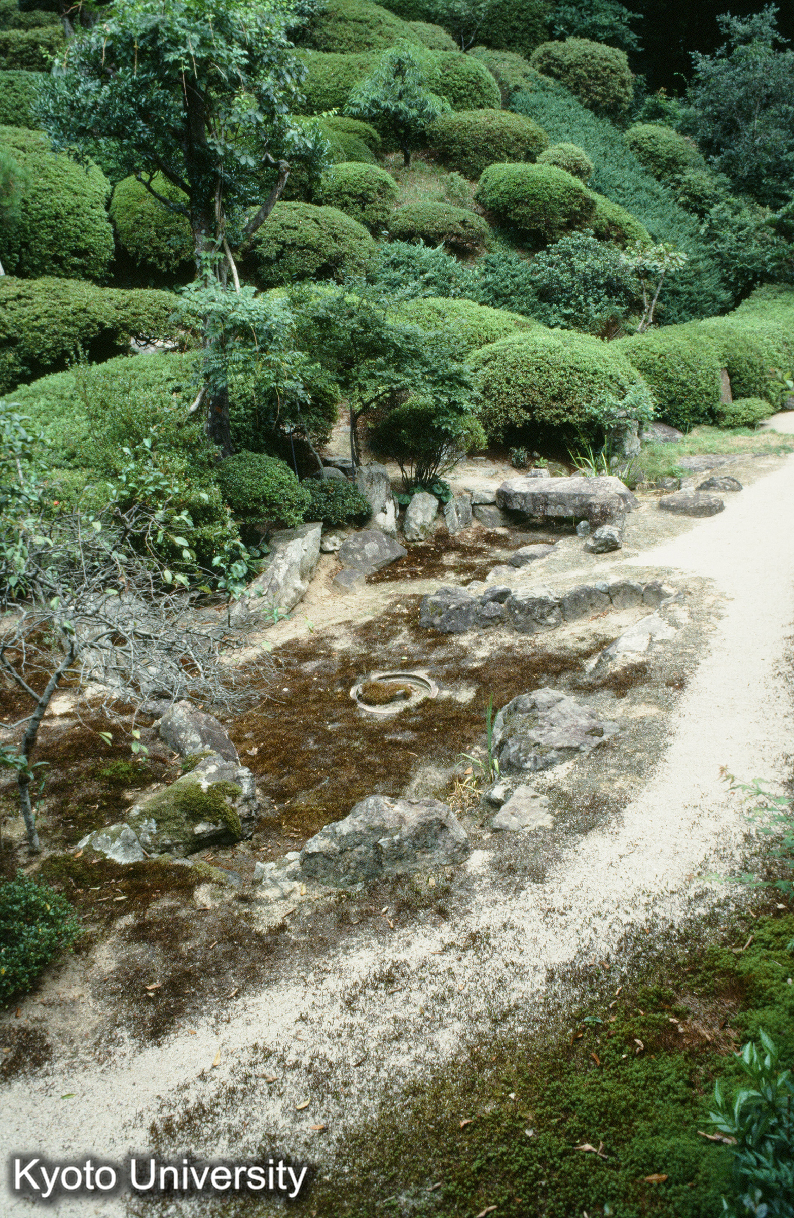 ［スライド］ (1)