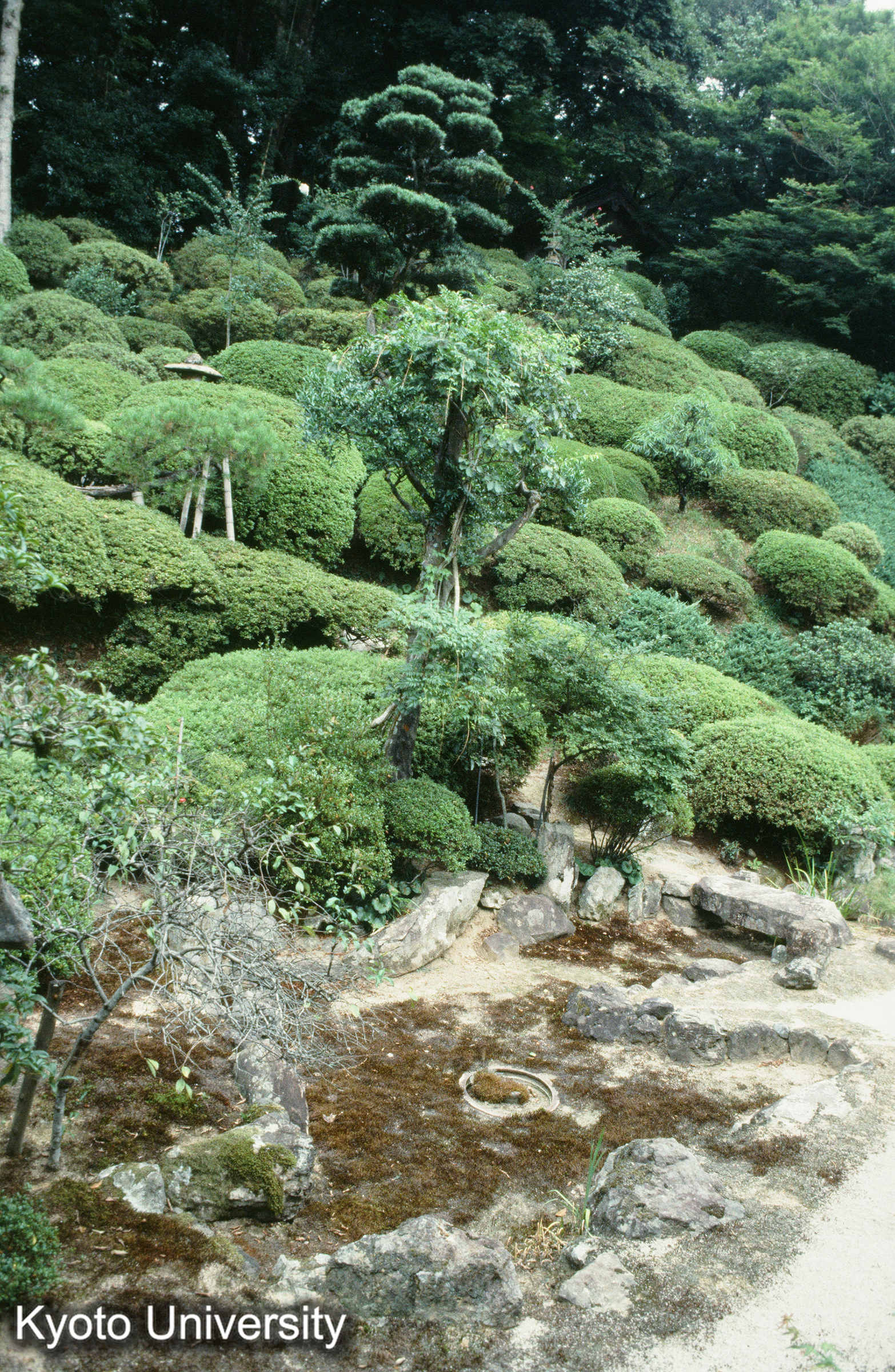 ［スライド］ (1)