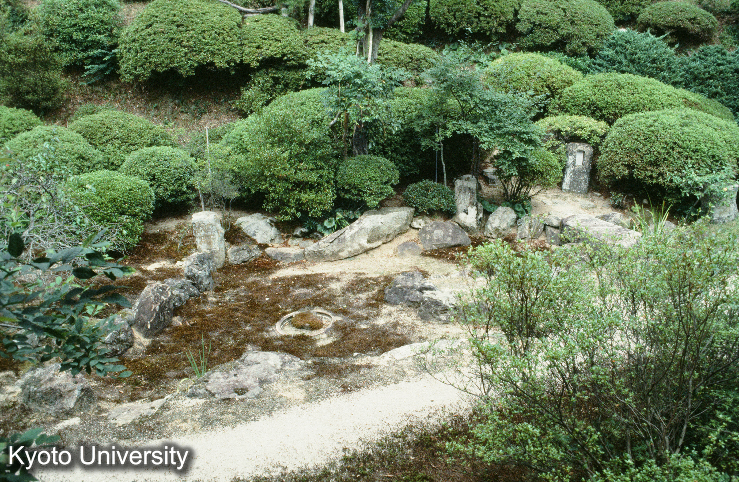 ［スライド］ (1)