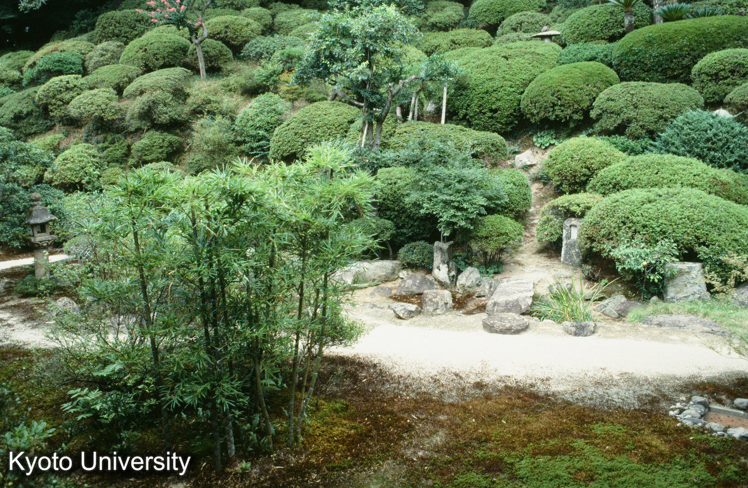 ［スライド］ (1)