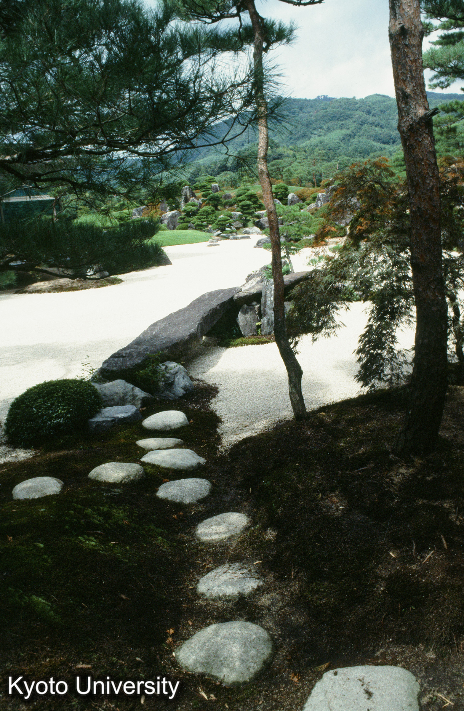 ［スライド］ (1)