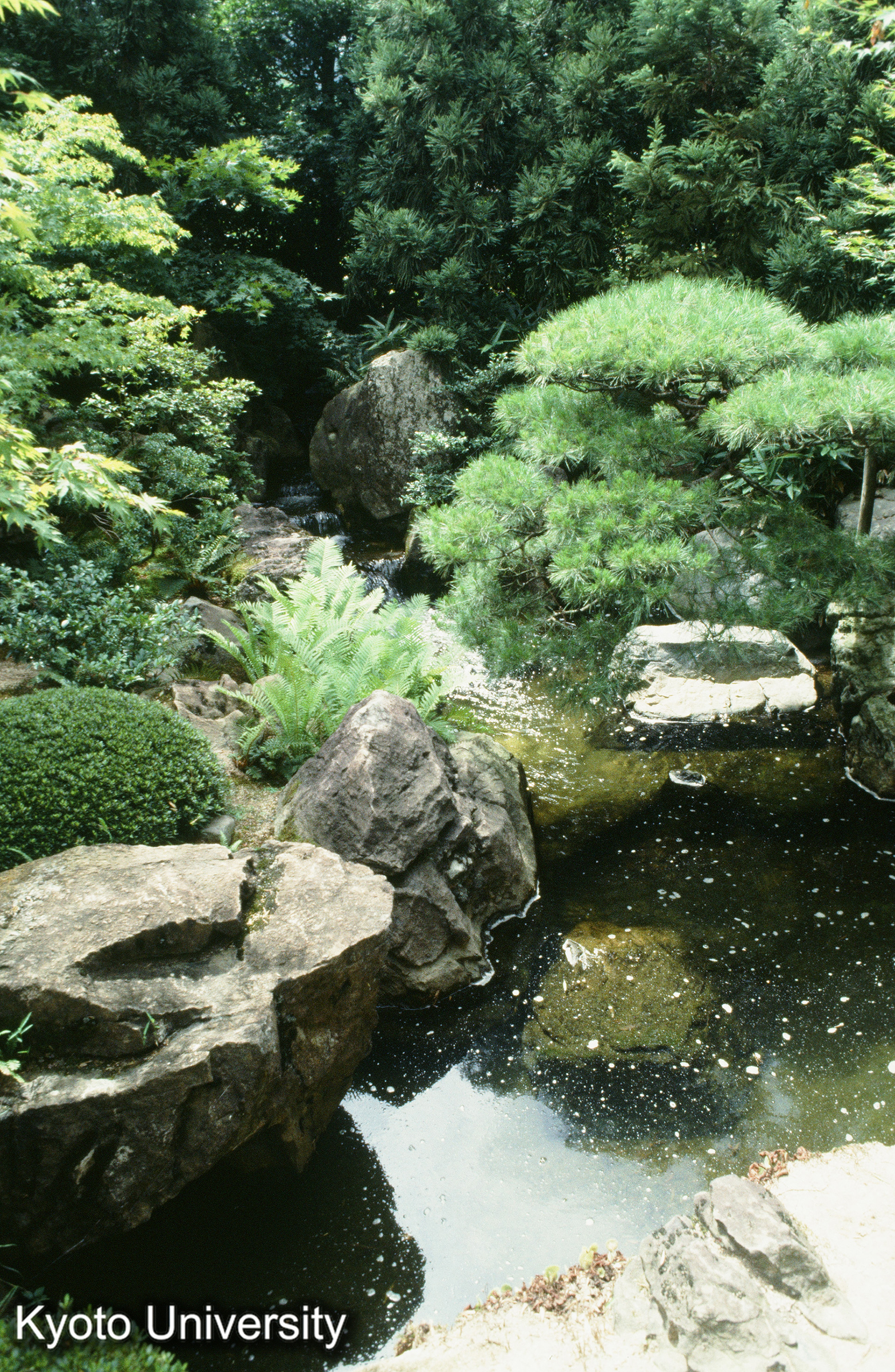 ［スライド］ (1)