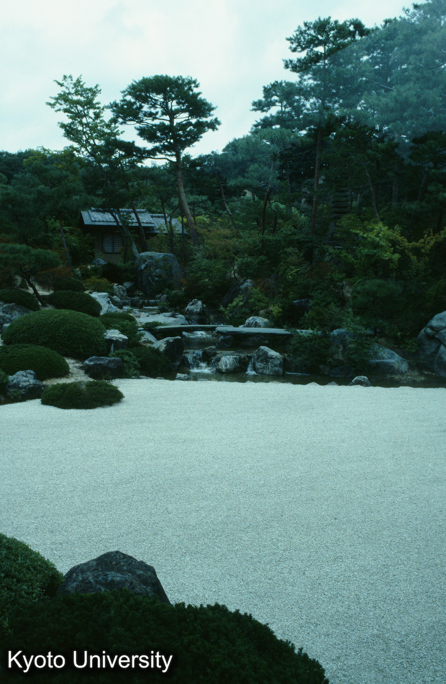 ［スライド］ (1)