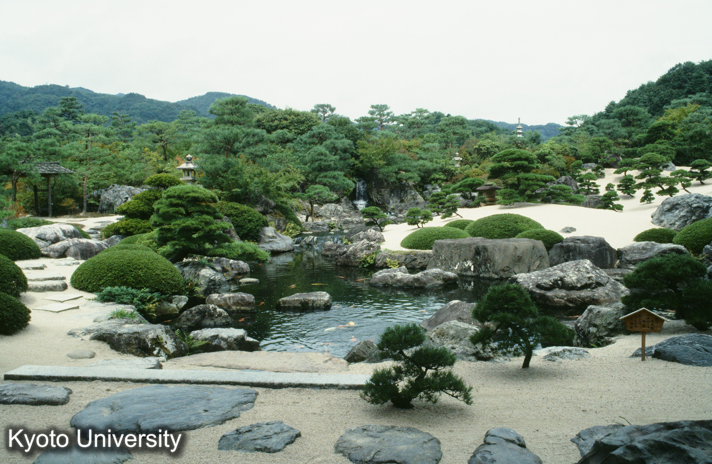 ［スライド］ (1)