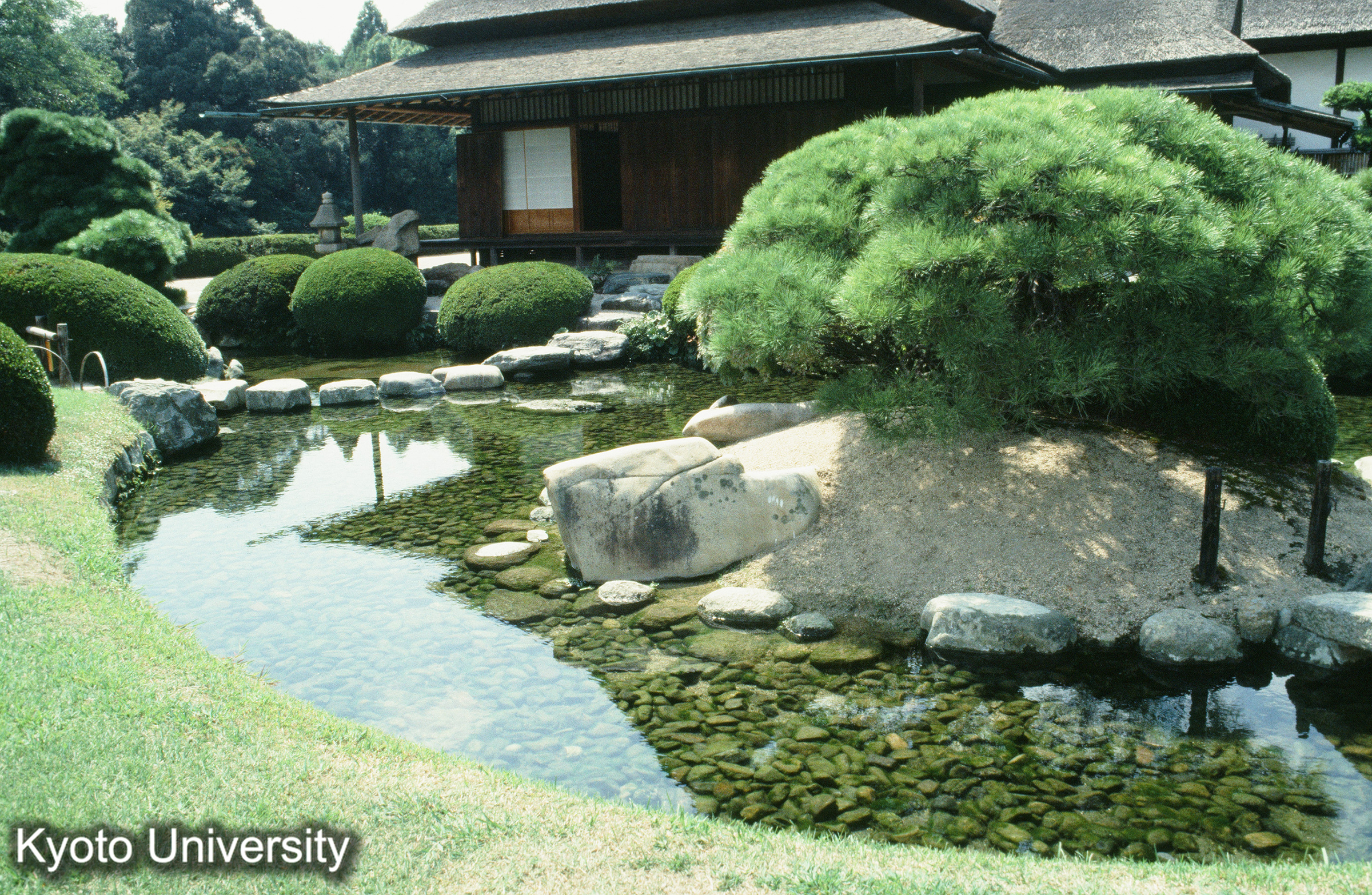 ［スライド］ (1)