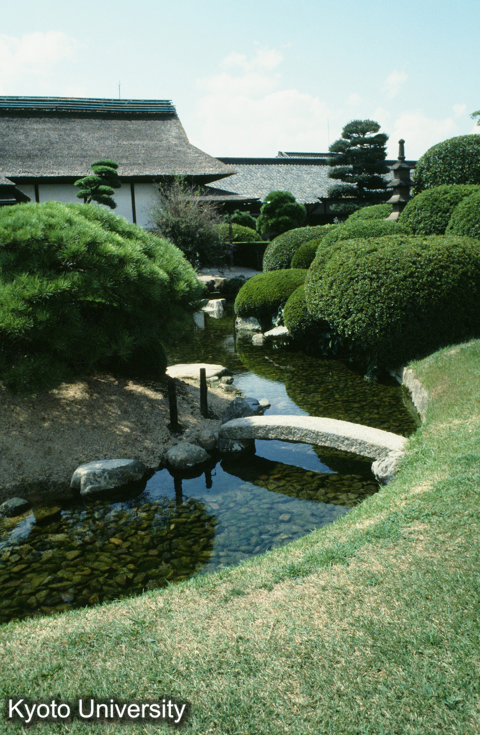 ［スライド］ (1)