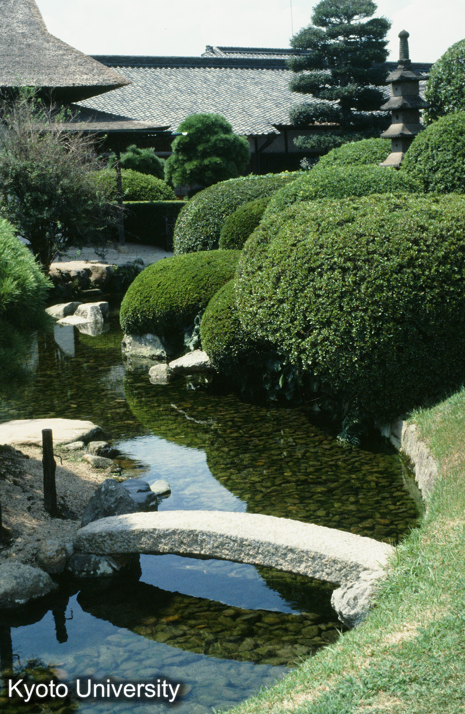 ［スライド］ (1)