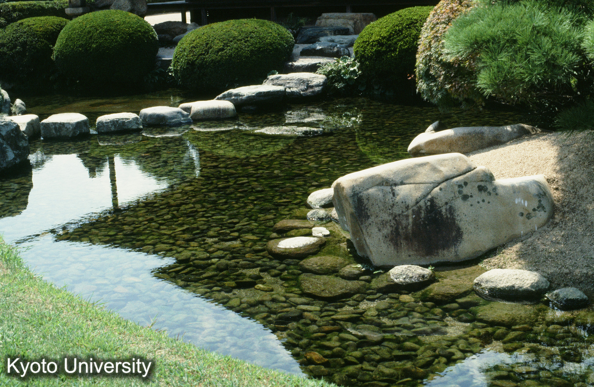 ［スライド］ (1)