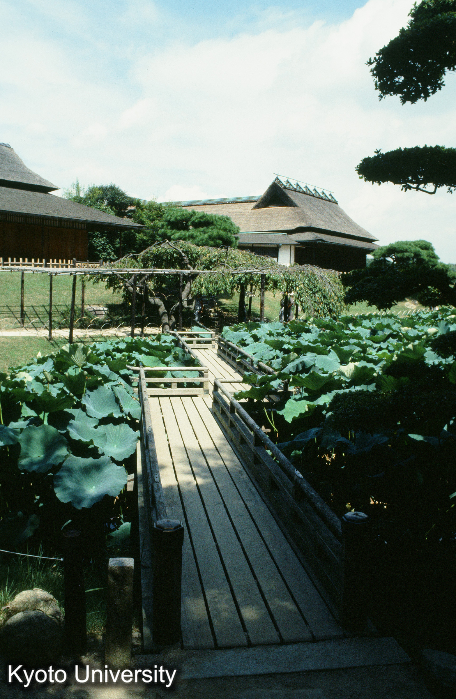 ［スライド］ (1)