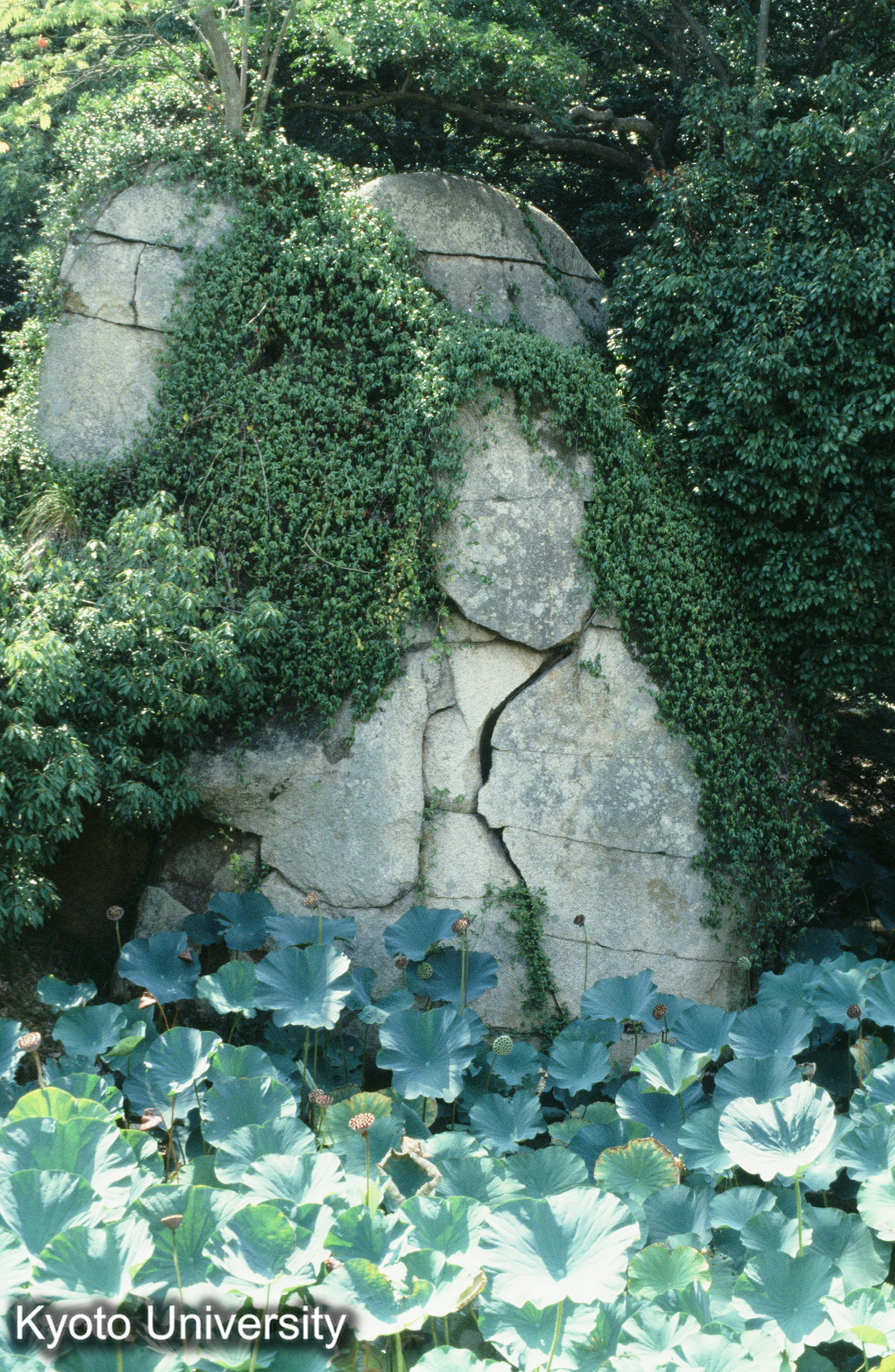 ［スライド］ (1)