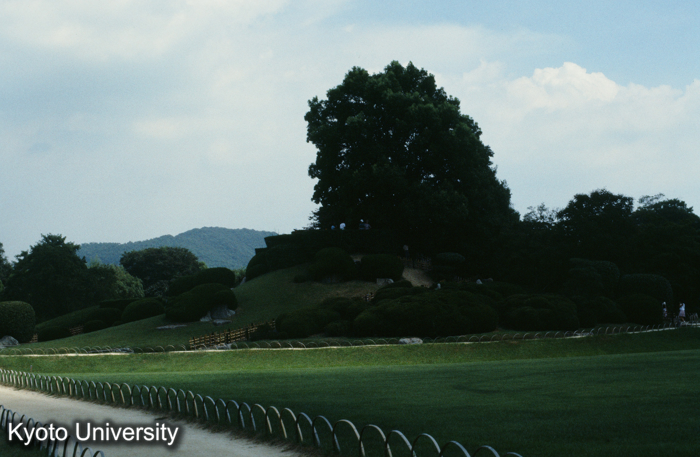 ［スライド］ (1)