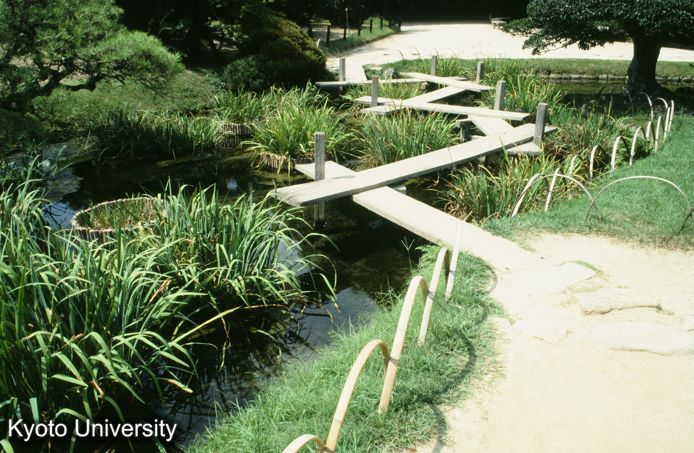 ［スライド］ (1)