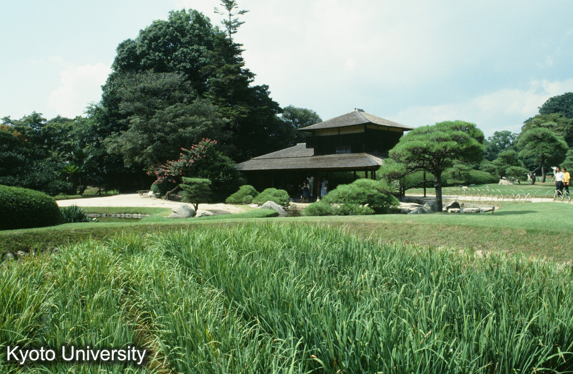 ［スライド］ (1)